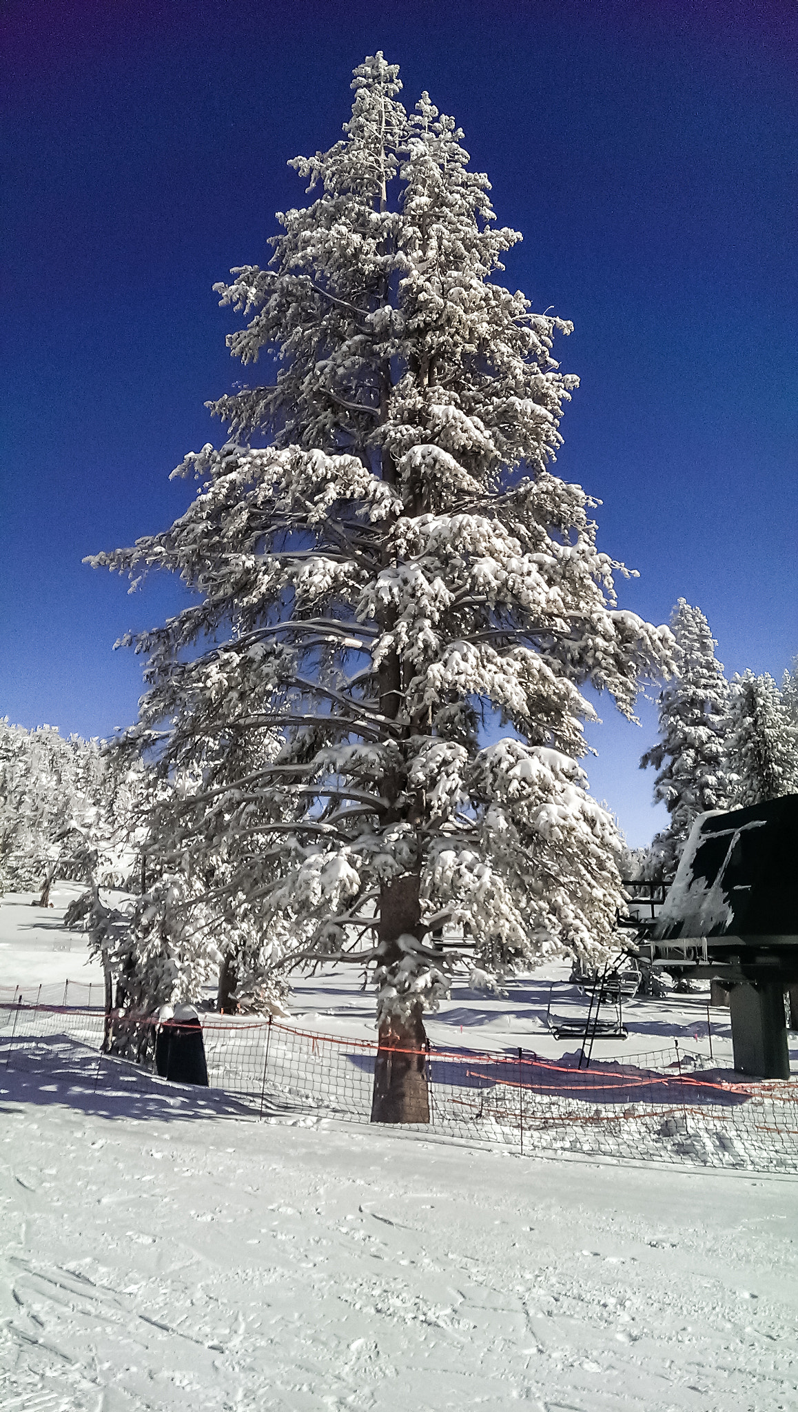 HTC ONE GOOGLE PLAY EDITION sample photo. Winter in lake tahoe photography