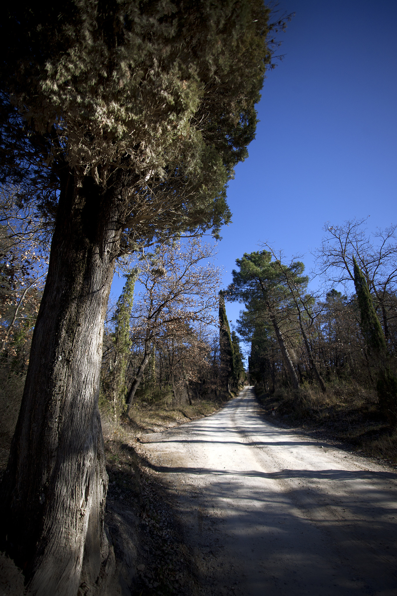 Sigma 17-35mm f/2.8-4 EX DG Aspherical HSM sample photo. White roads meaning photography