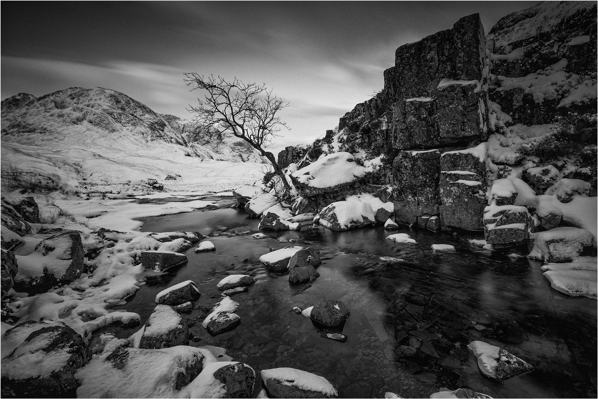 Canon EF 17-40mm F4L USM sample photo. Last tree standing - river coe photography
