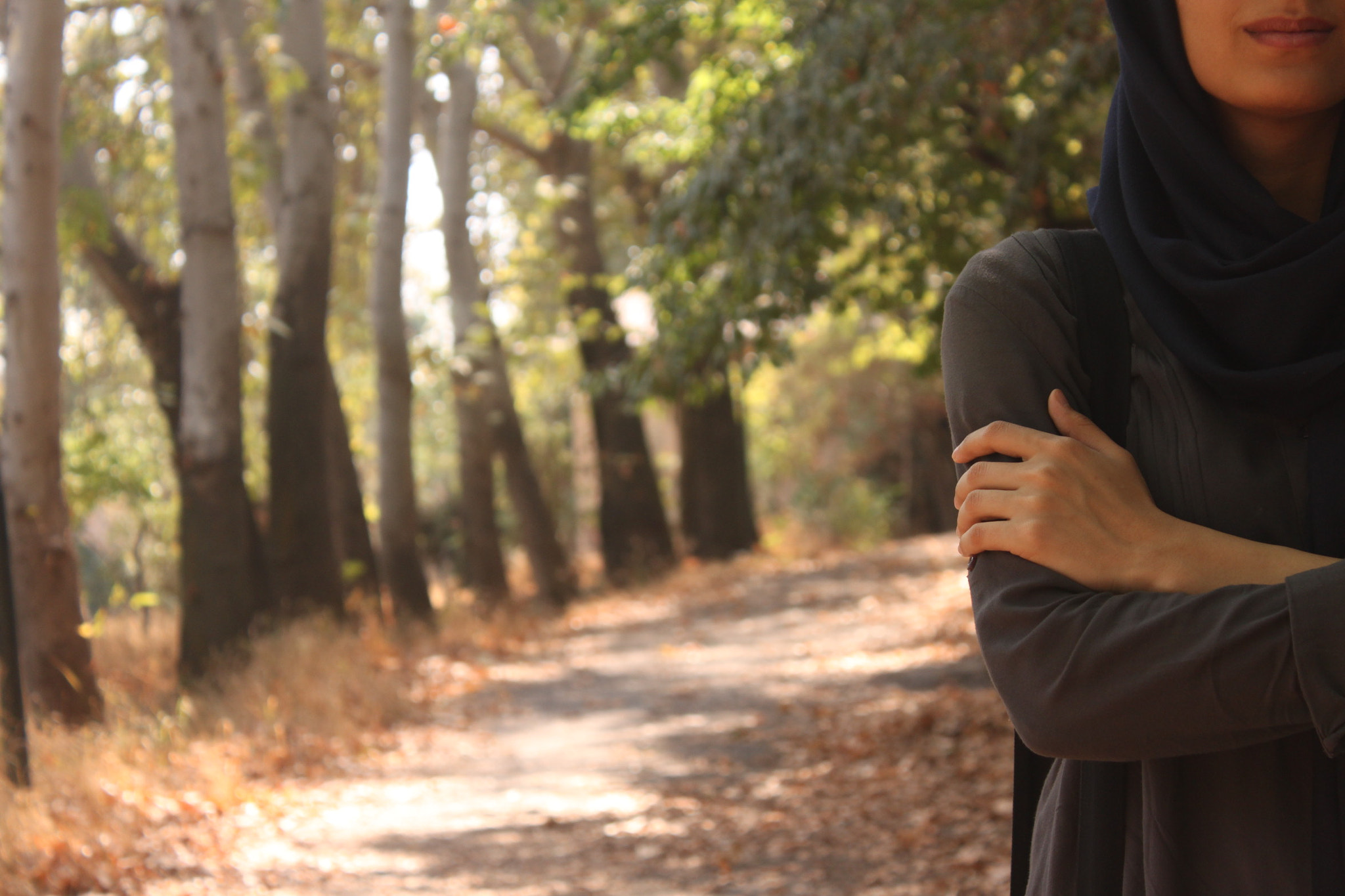 Canon EOS 500D (EOS Rebel T1i / EOS Kiss X3) sample photo. #fall photography