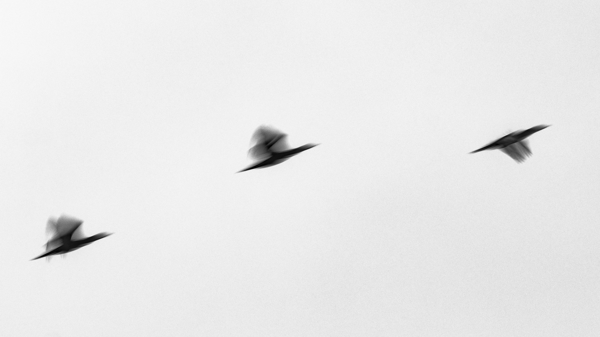Sigma 120-300mm F2.8 EX DG HSM sample photo. Charcoal photography