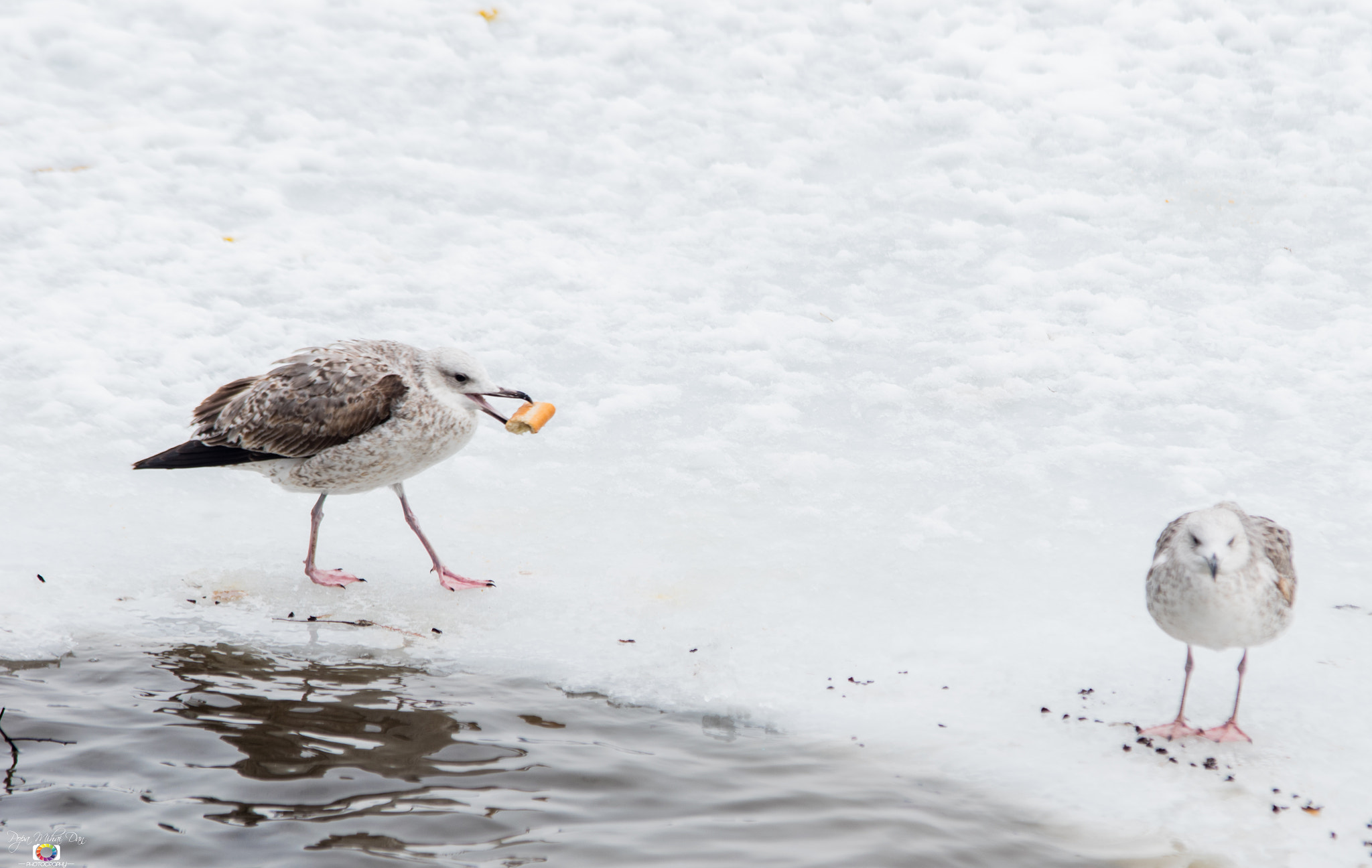 Nikon AF-S Nikkor 70-200mm F2.8G ED VR II sample photo. Lake photography
