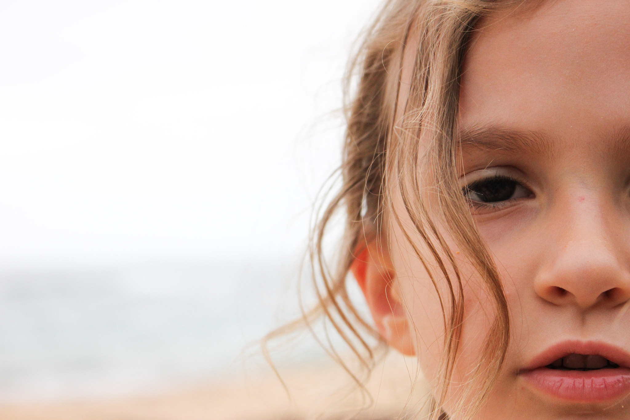 Canon EOS 60D sample photo. Poppet photography