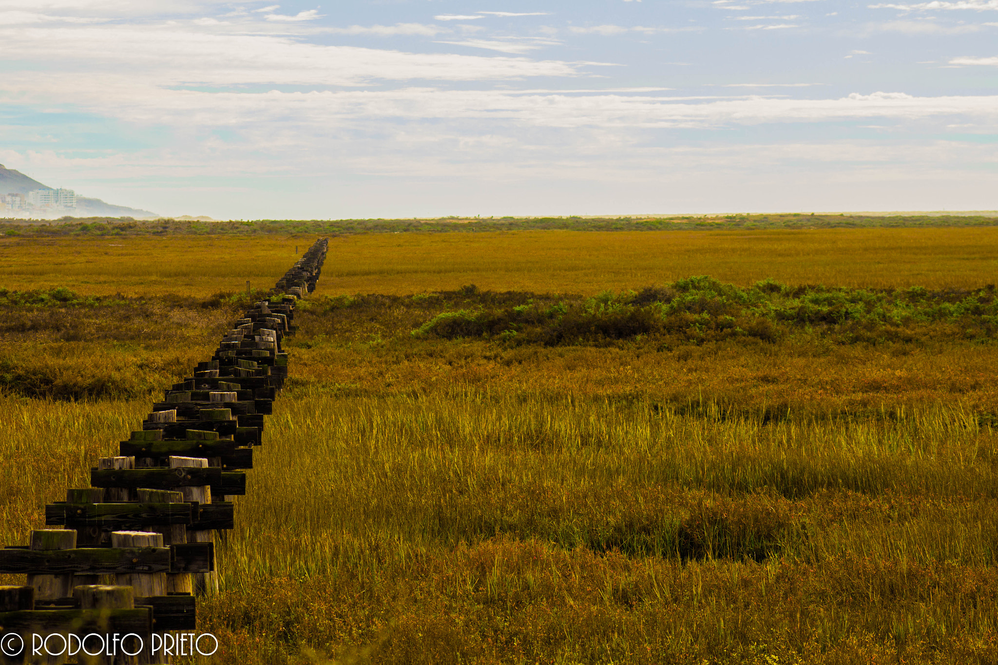 Canon EOS 550D (EOS Rebel T2i / EOS Kiss X4) + EF75-300mm f/4-5.6 sample photo. The estuary coastal wetlands field. photography