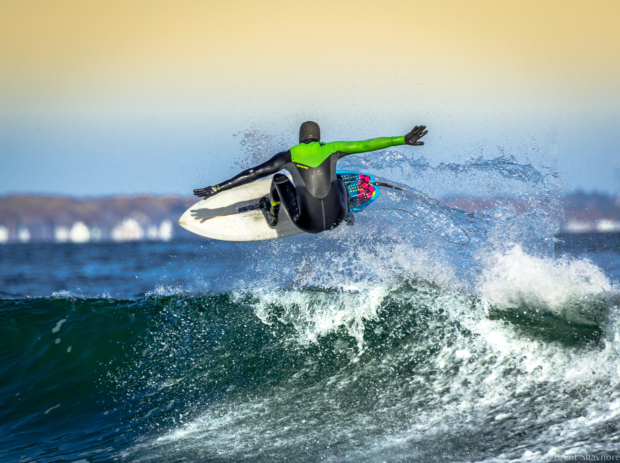 Tamron SP 150-600mm F5-6.3 Di VC USD sample photo. Catching some maine air.  photography