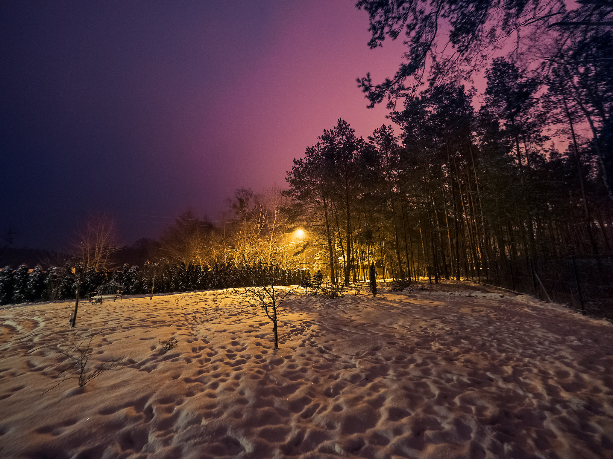 Olympus OM-D E-M5 II + Olympus M.Zuiko Digital ED 7-14mm F2.8 PRO sample photo. Winter photography