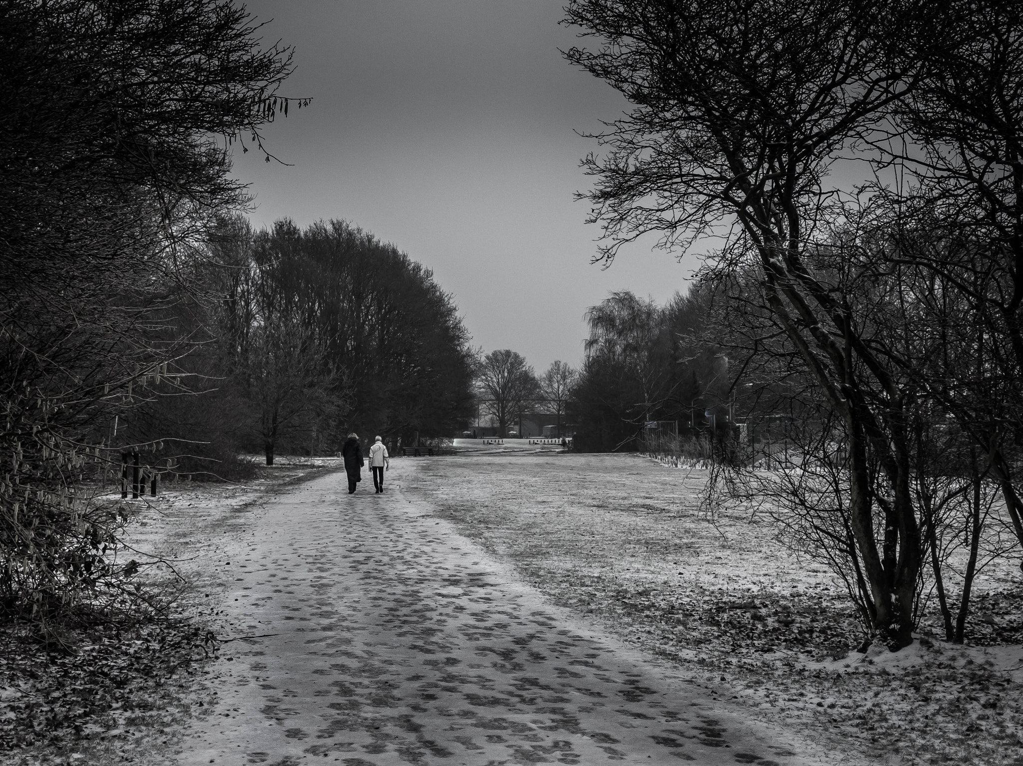 Fujifilm X-T1 + Fujifilm XF 27mm F2.8 sample photo. Get thru the winter together photography