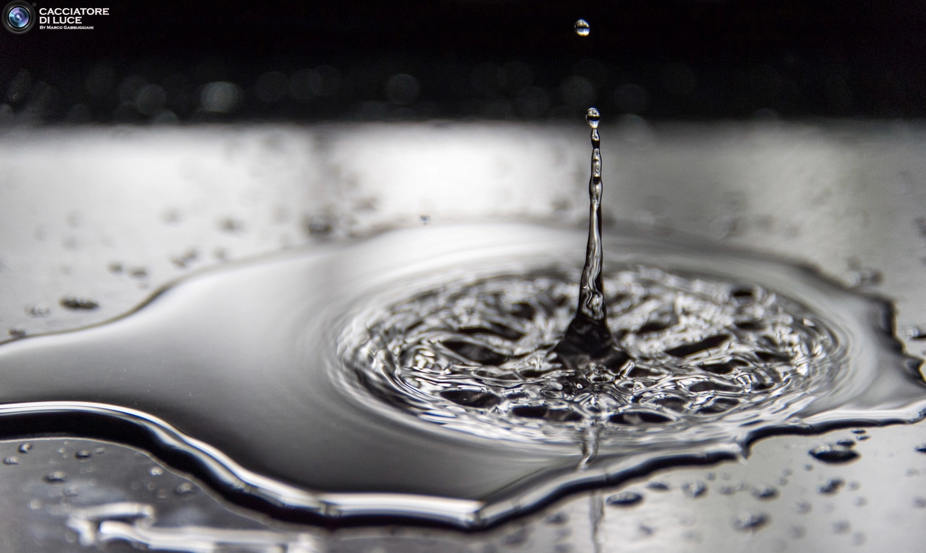 Nikon D4S sample photo. Drop photography