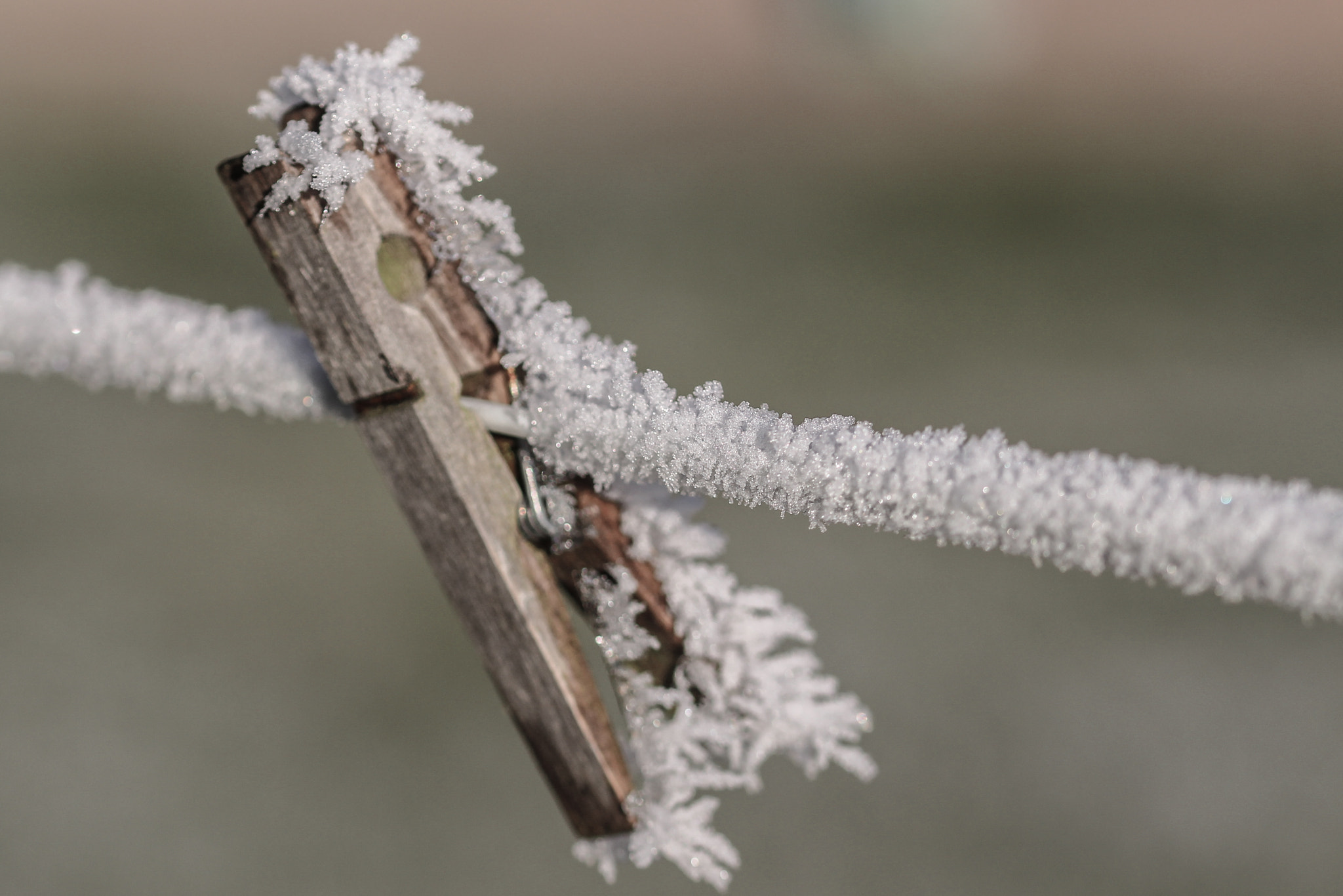 Sigma 105mm F2.8 EX DG OS HSM sample photo. Frosted clothespin photography