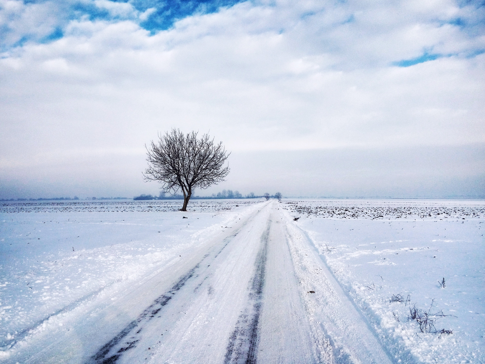 LG LBello sample photo. White road & one tree photography