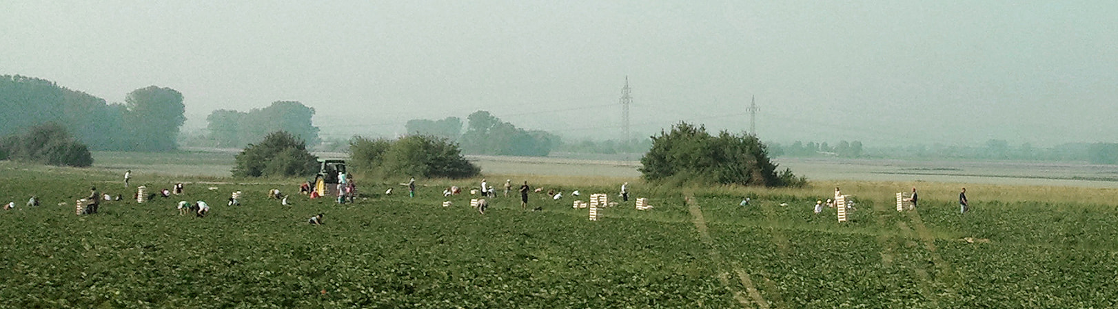 Samsung GT-S8500 sample photo. Farmland-01 photography