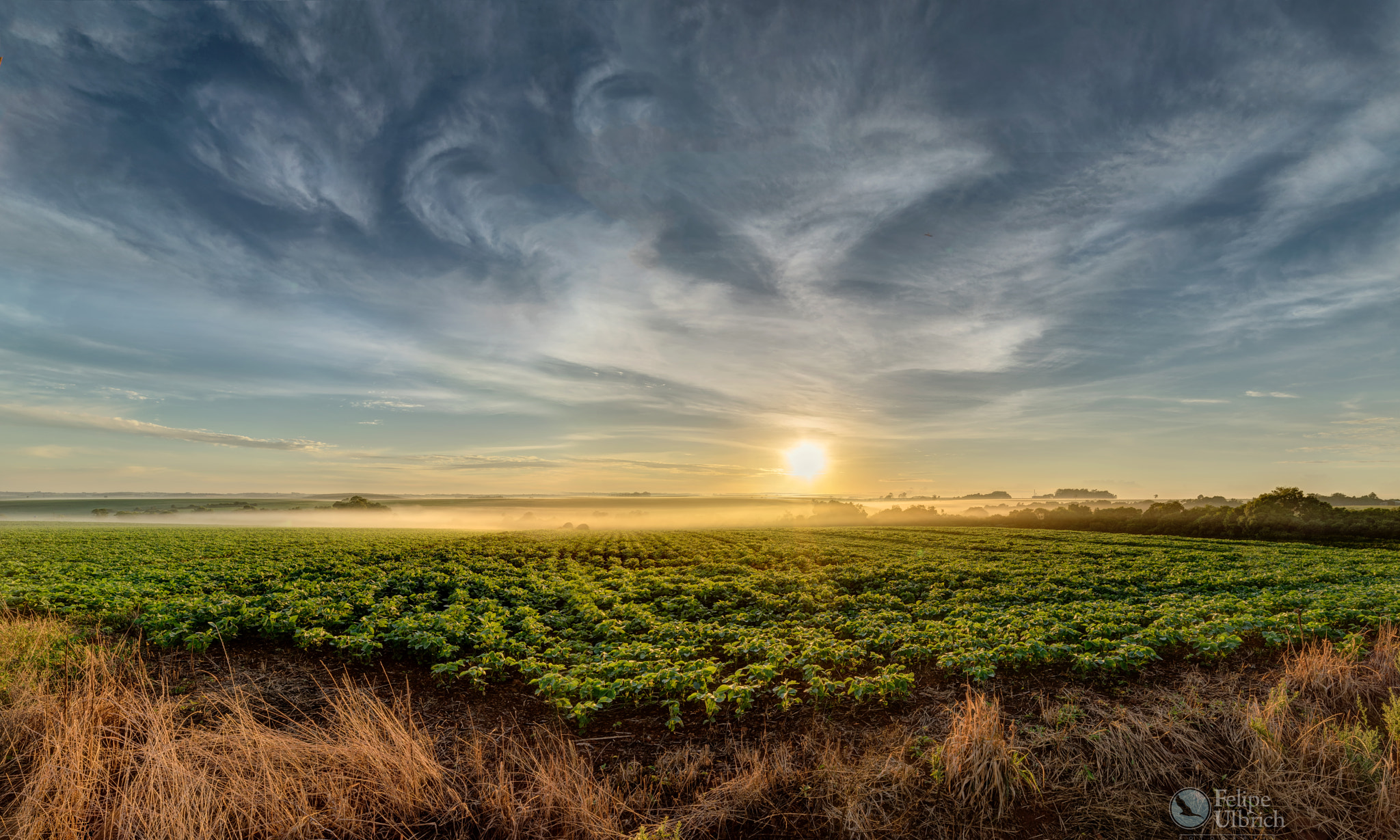 Samyang 14mm F2.8 ED AS IF UMC sample photo. "soyrise" photography