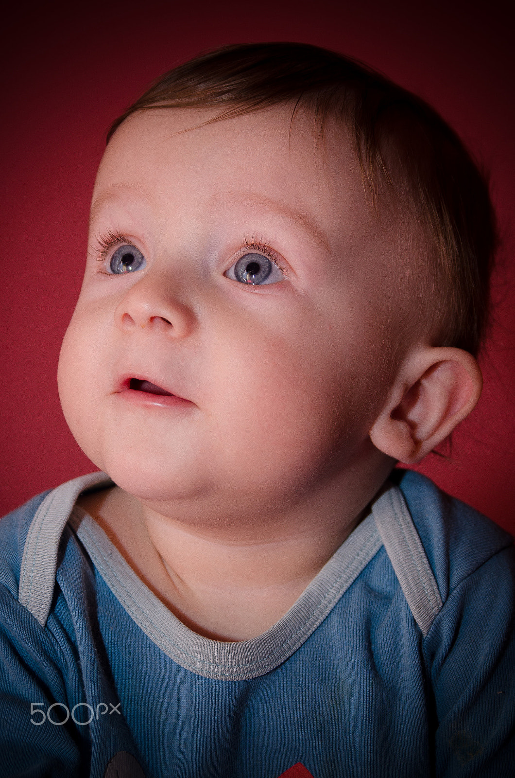 Sigma 17-70mm F2.8-4 DC Macro OS HSM sample photo. Samko photography