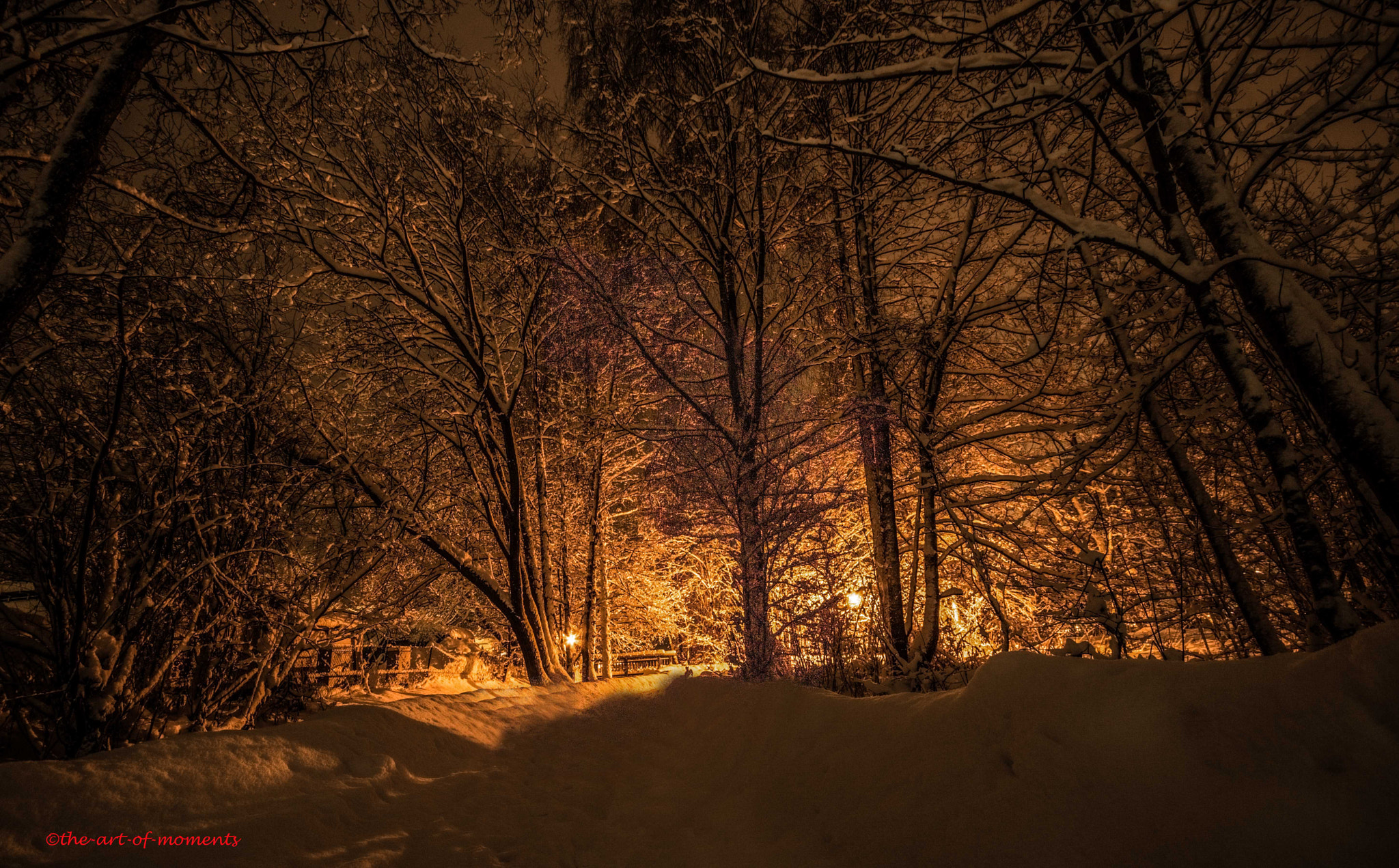 Sigma AF 10-20mm F4-5.6 EX DC sample photo. Winterwonderland photography