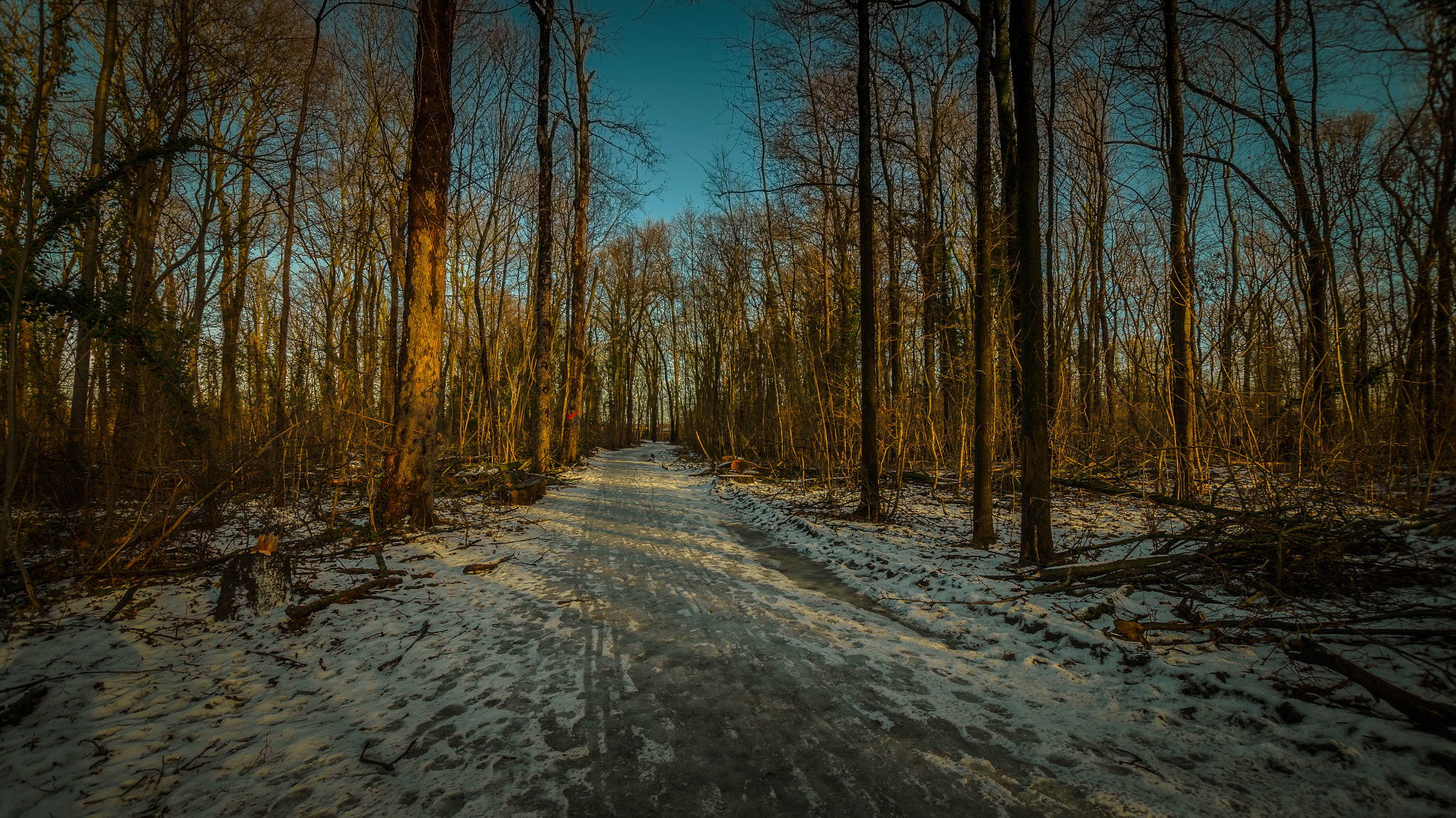 Sony SLT-A58 + Sigma 10-20mm F3.5 EX DC HSM sample photo. Wooded walk photography