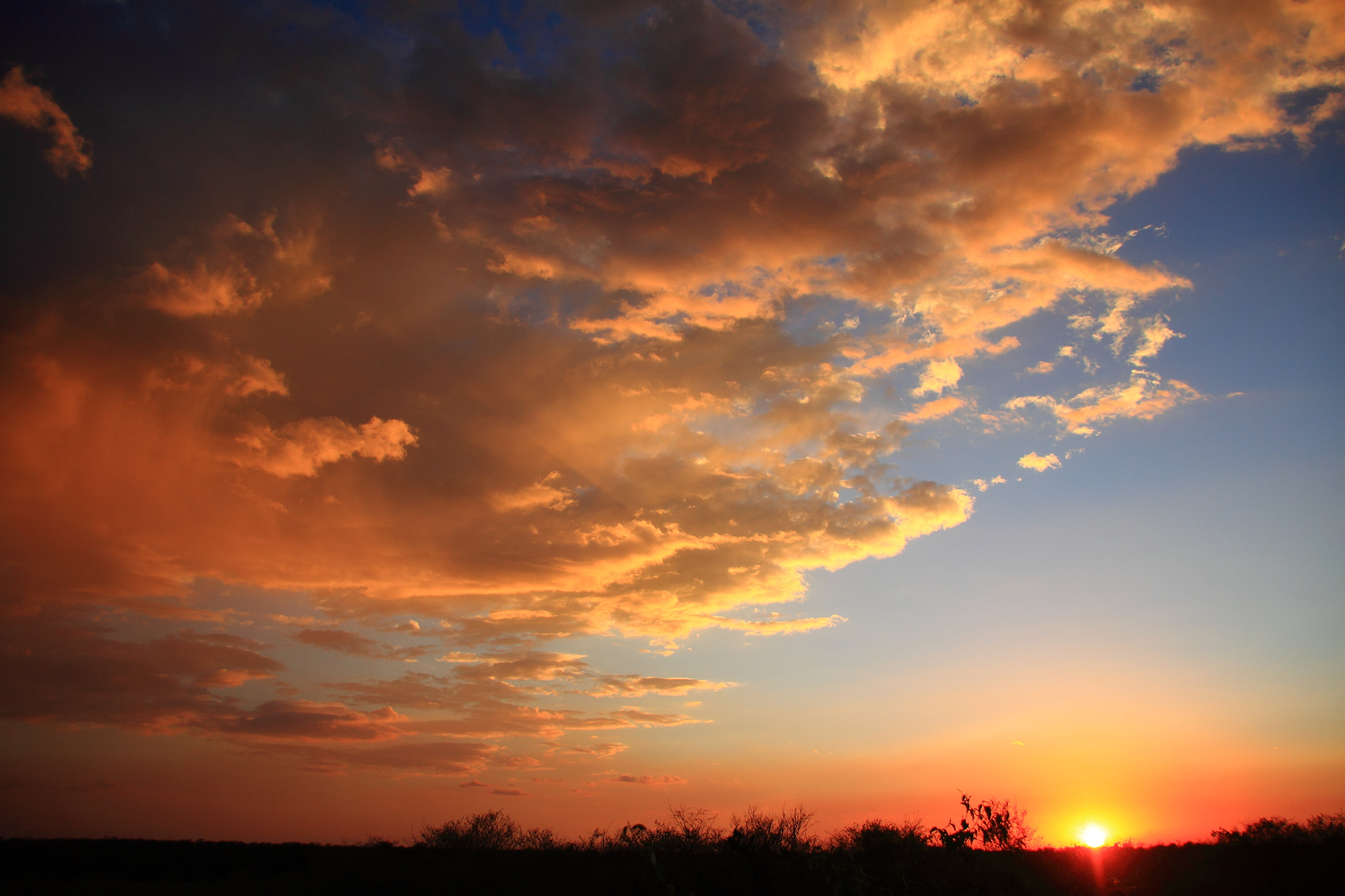 Canon EOS 500D (EOS Rebel T1i / EOS Kiss X3) sample photo. Cloudy sunset photography