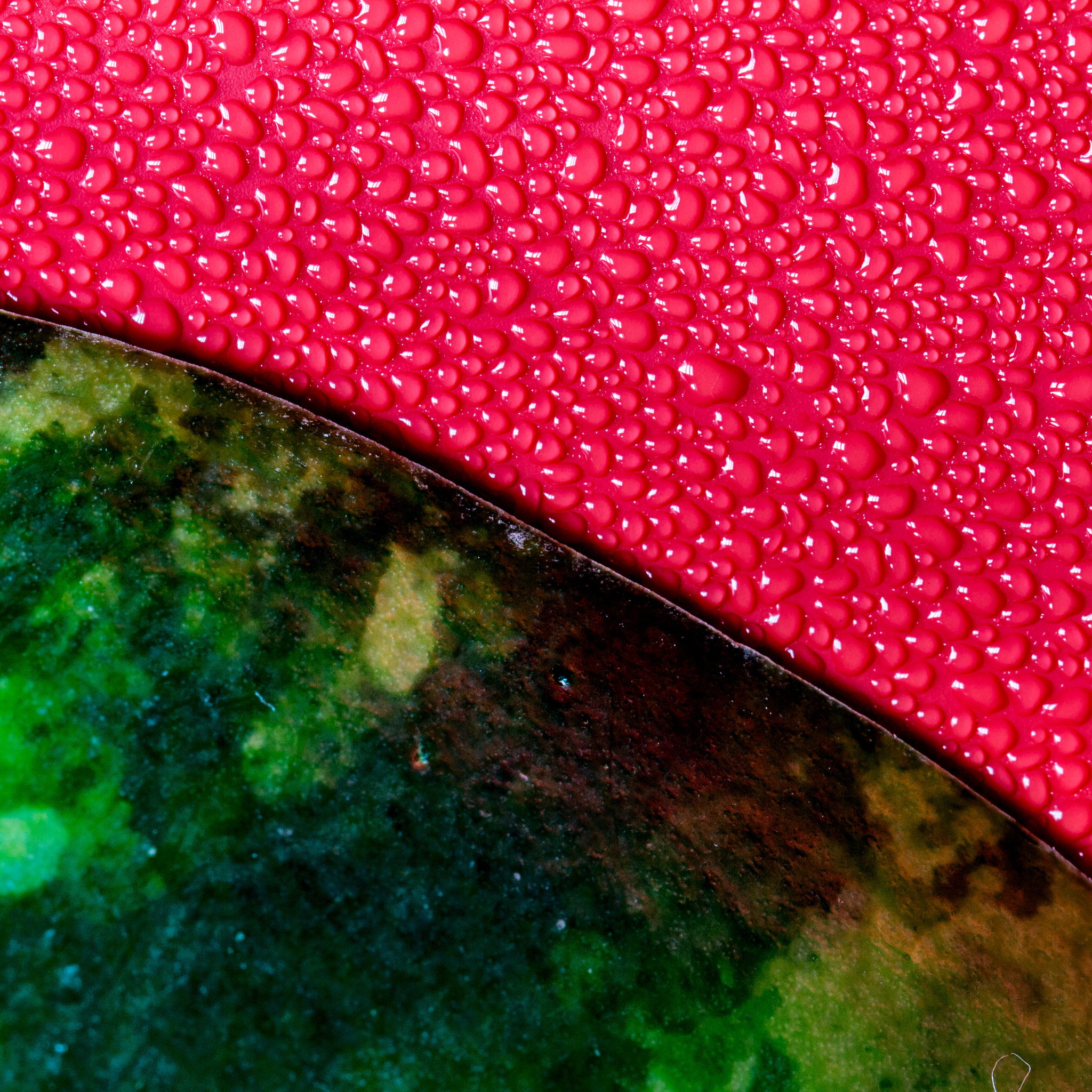 Canon EF 100mm F2.8L Macro IS USM sample photo. Melon drops photography