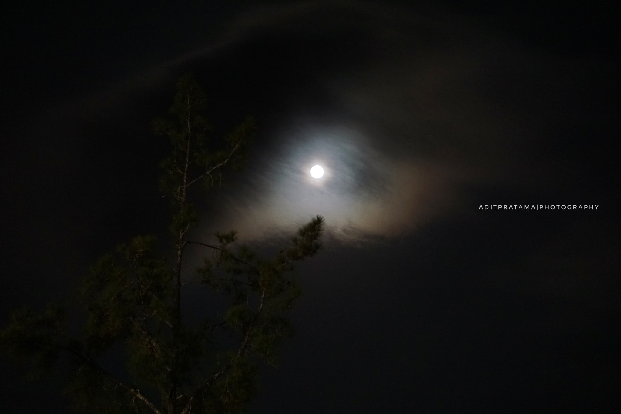 Sony E 50mm F1.8 OSS sample photo. Moon lights photography