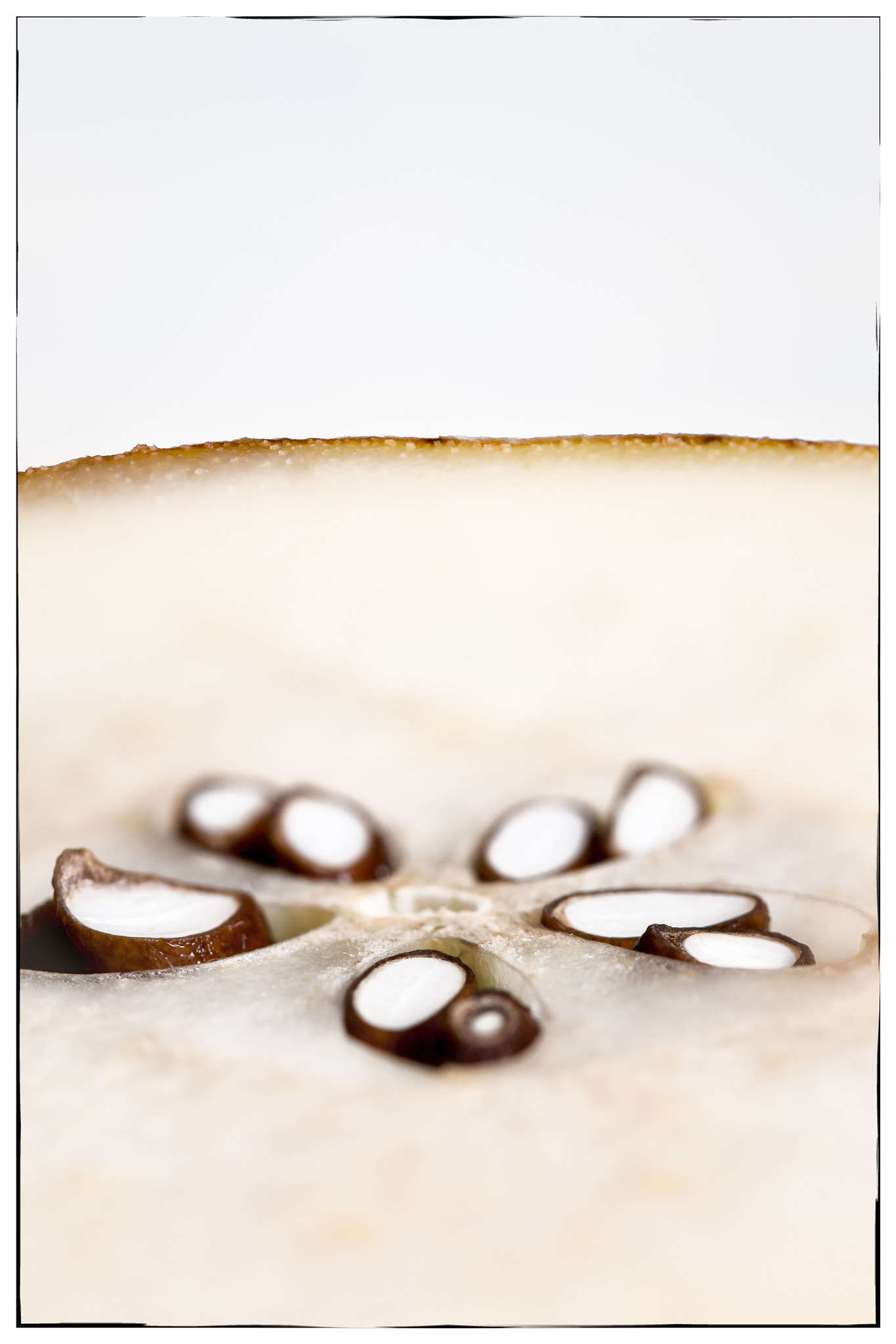 Canon EF 100mm F2.8L Macro IS USM sample photo. Pear horizon photography