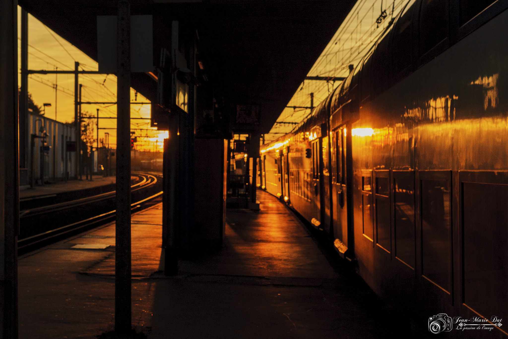 Canon EOS-1D Mark III sample photo. Sunset light  photography