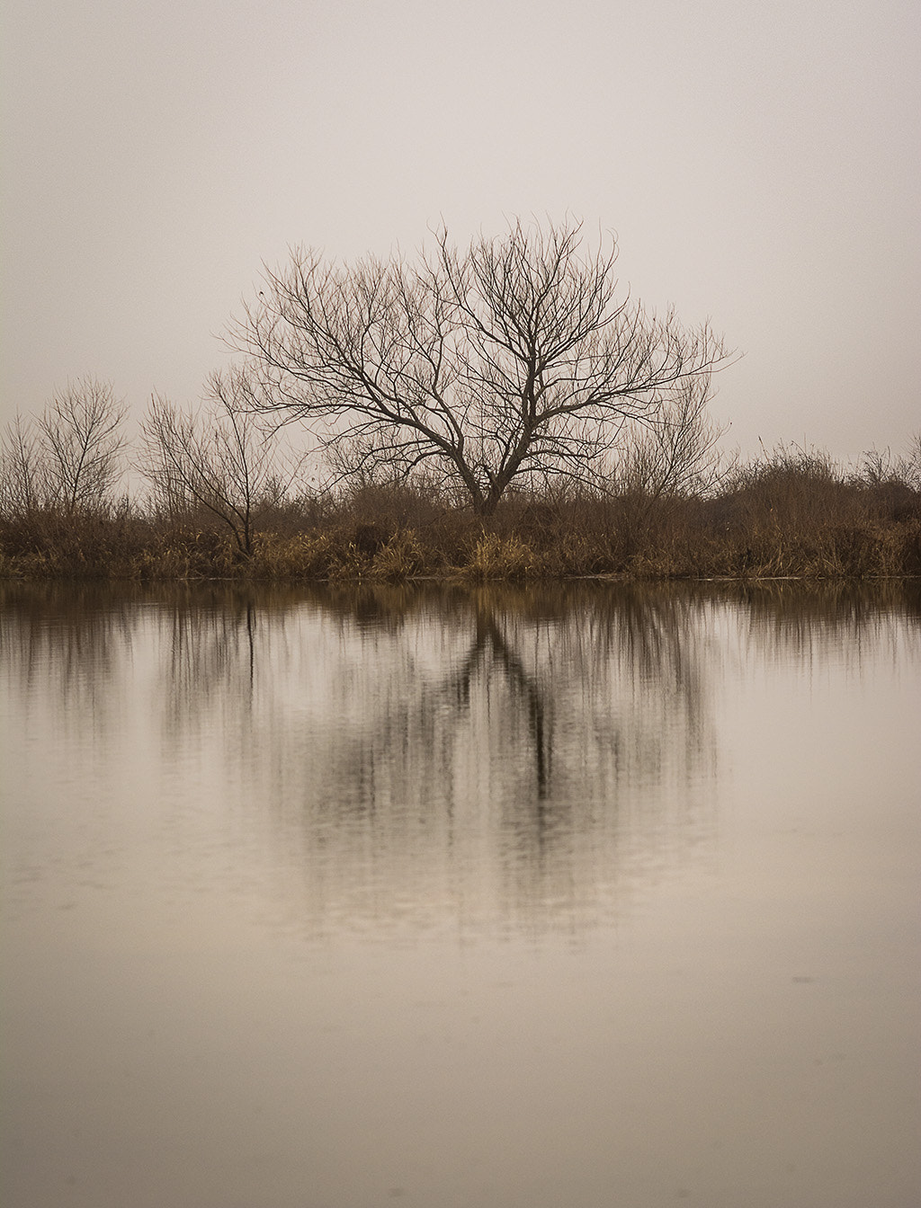 Sigma 70-200mm F2.8 EX DG Macro HSM II sample photo. Foggy morning photography
