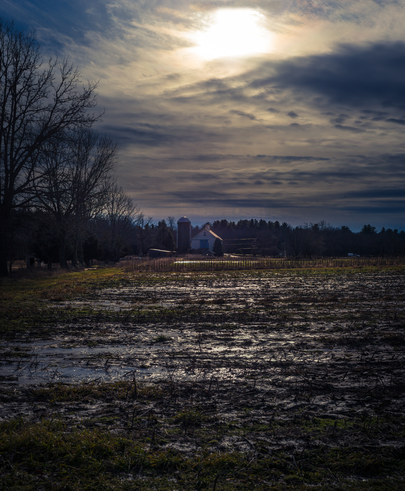 Summilux-M 1:1.4/50 sample photo. Farmhouse and frozen field photography