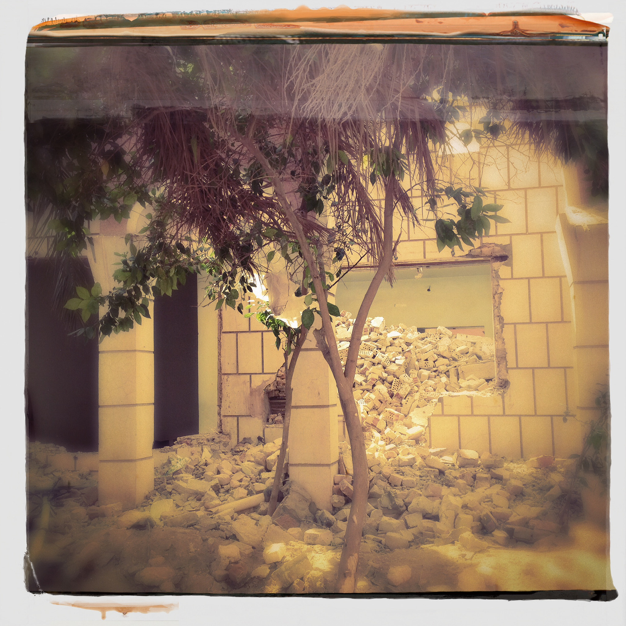 Hipstamatic 274 sample photo