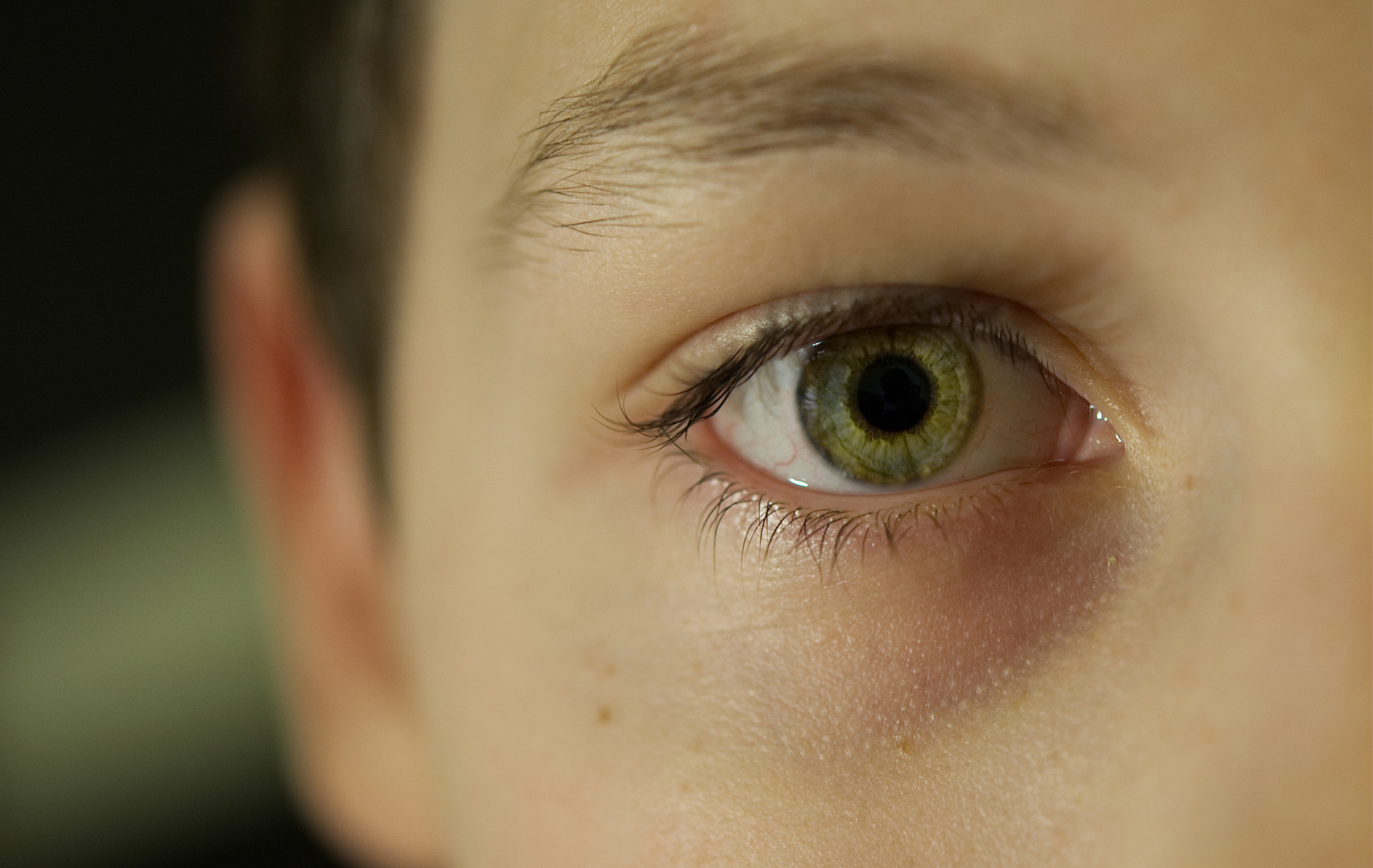 Nikon D700 sample photo. Little eye photography