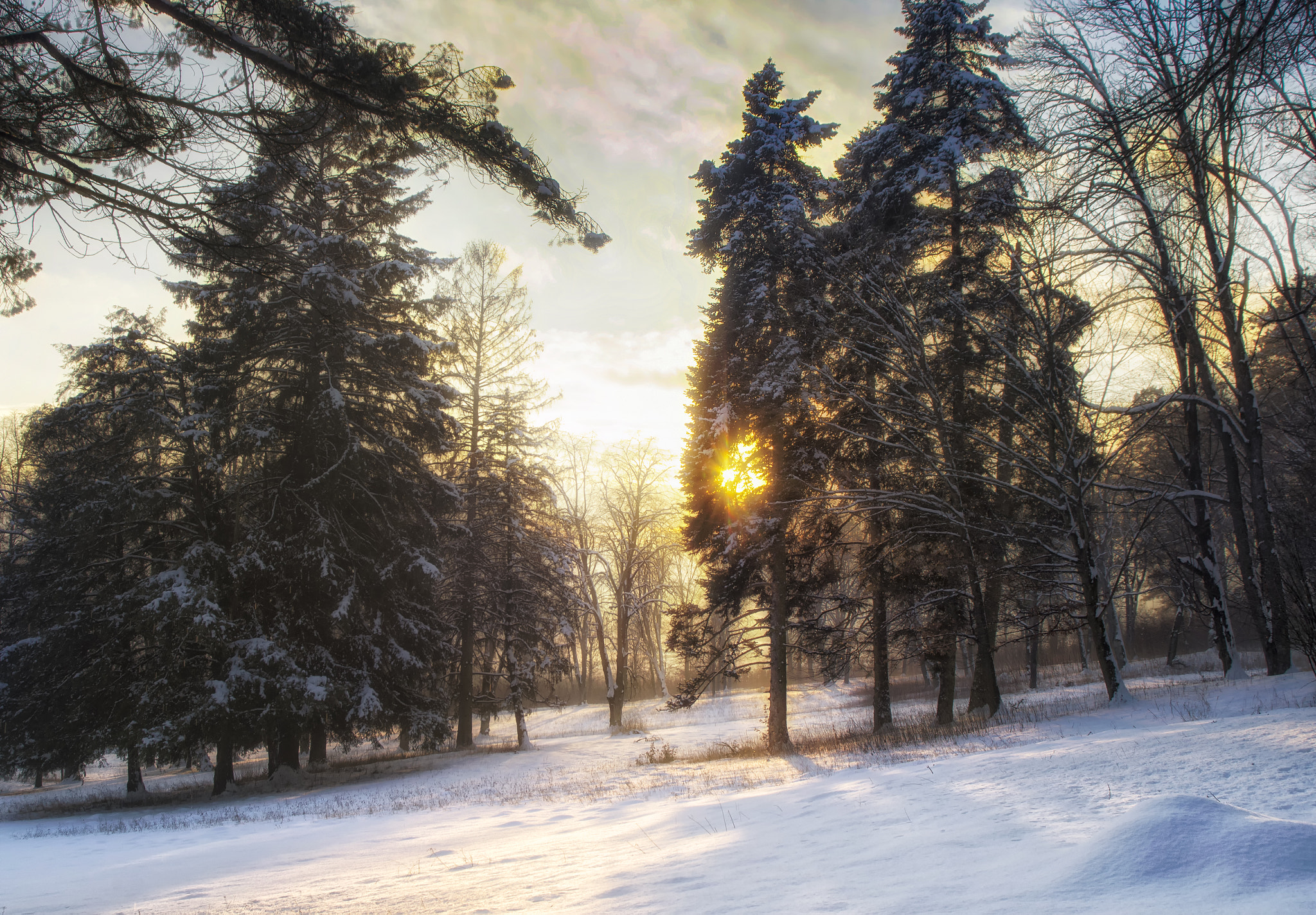 Nikon D600 sample photo. Winter sunset photography