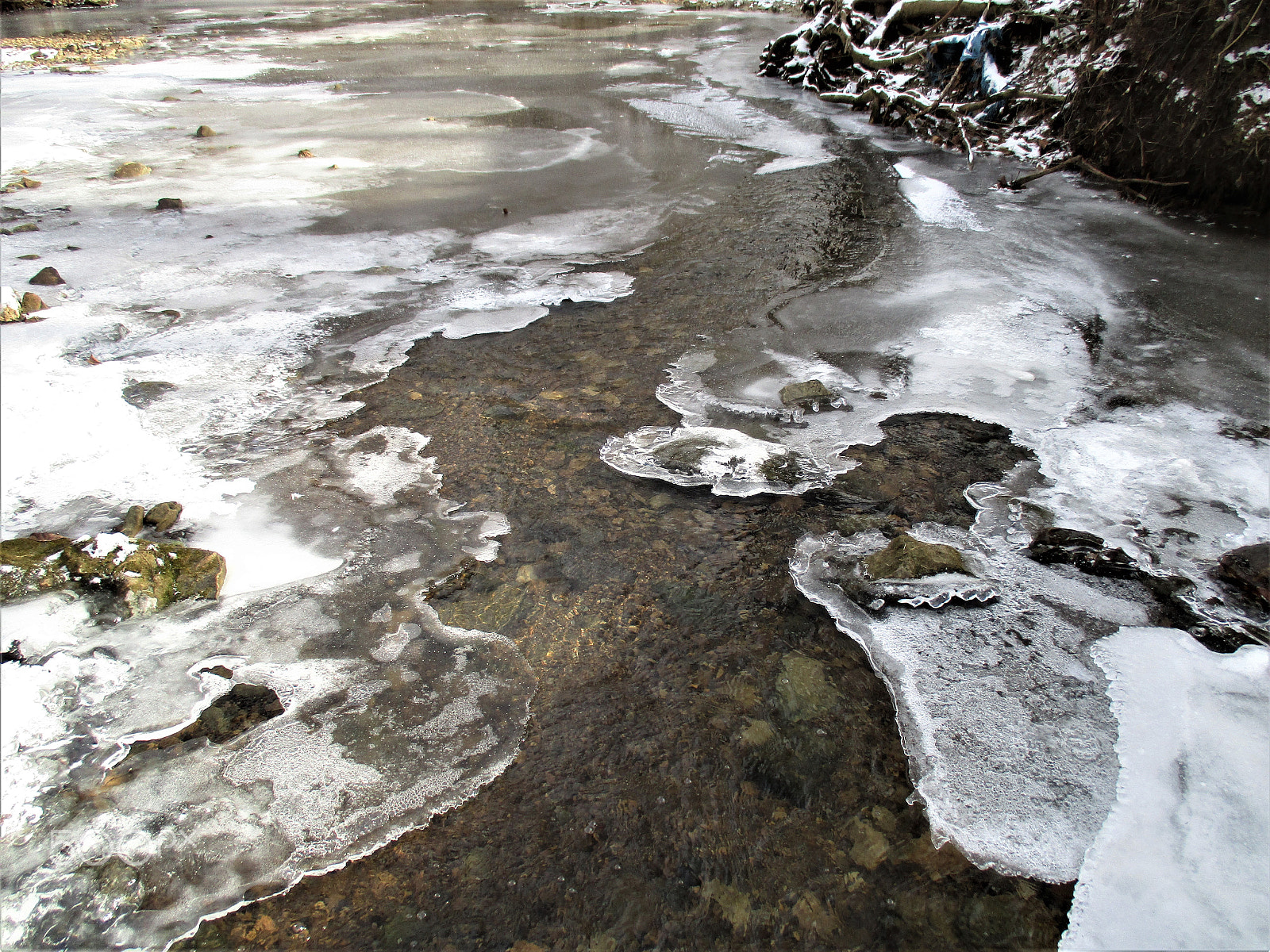 Canon PowerShot ELPH 160 (IXUS 160 / IXY 150) sample photo. Thawing photography