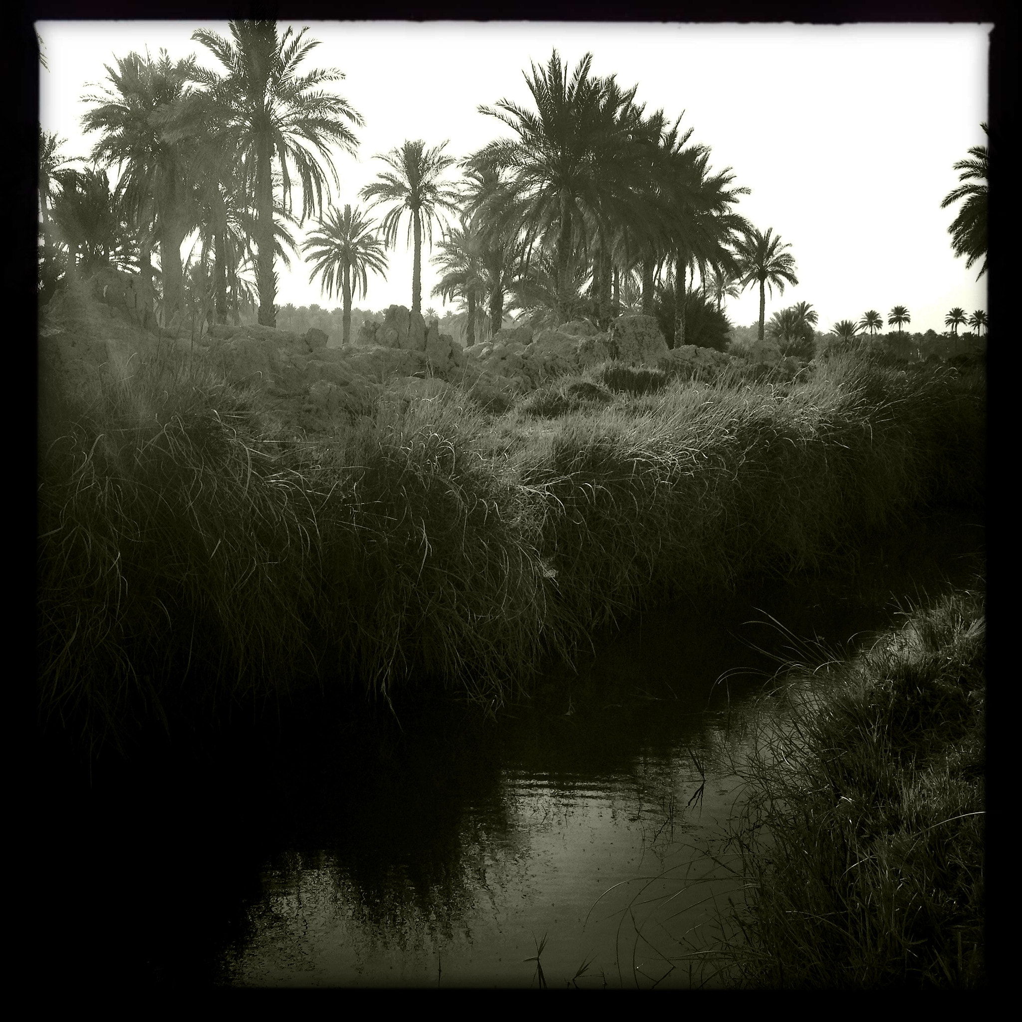 Hipstamatic 272 sample photo