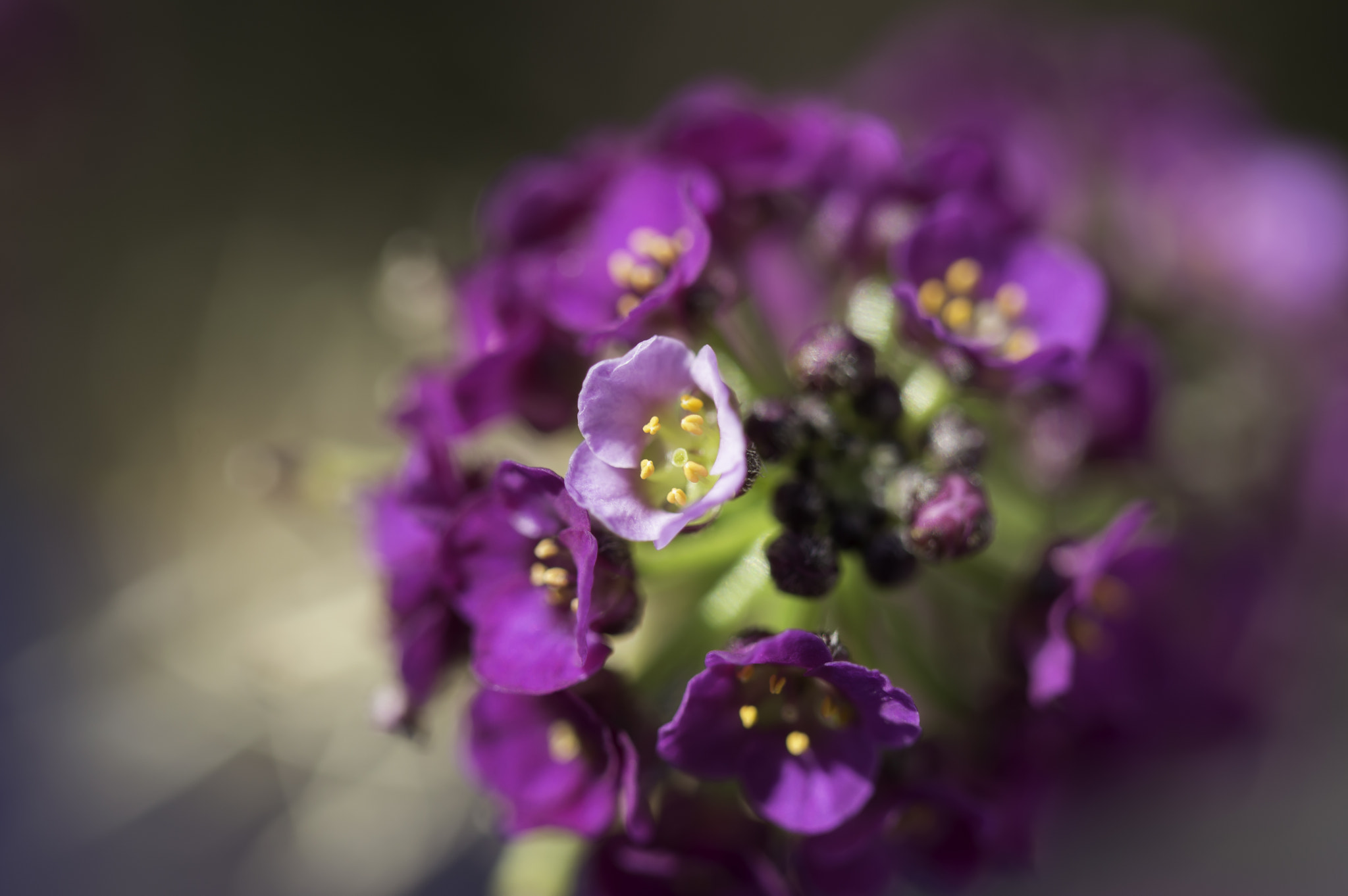 Nikon D3200 sample photo. On my deck #2 photography