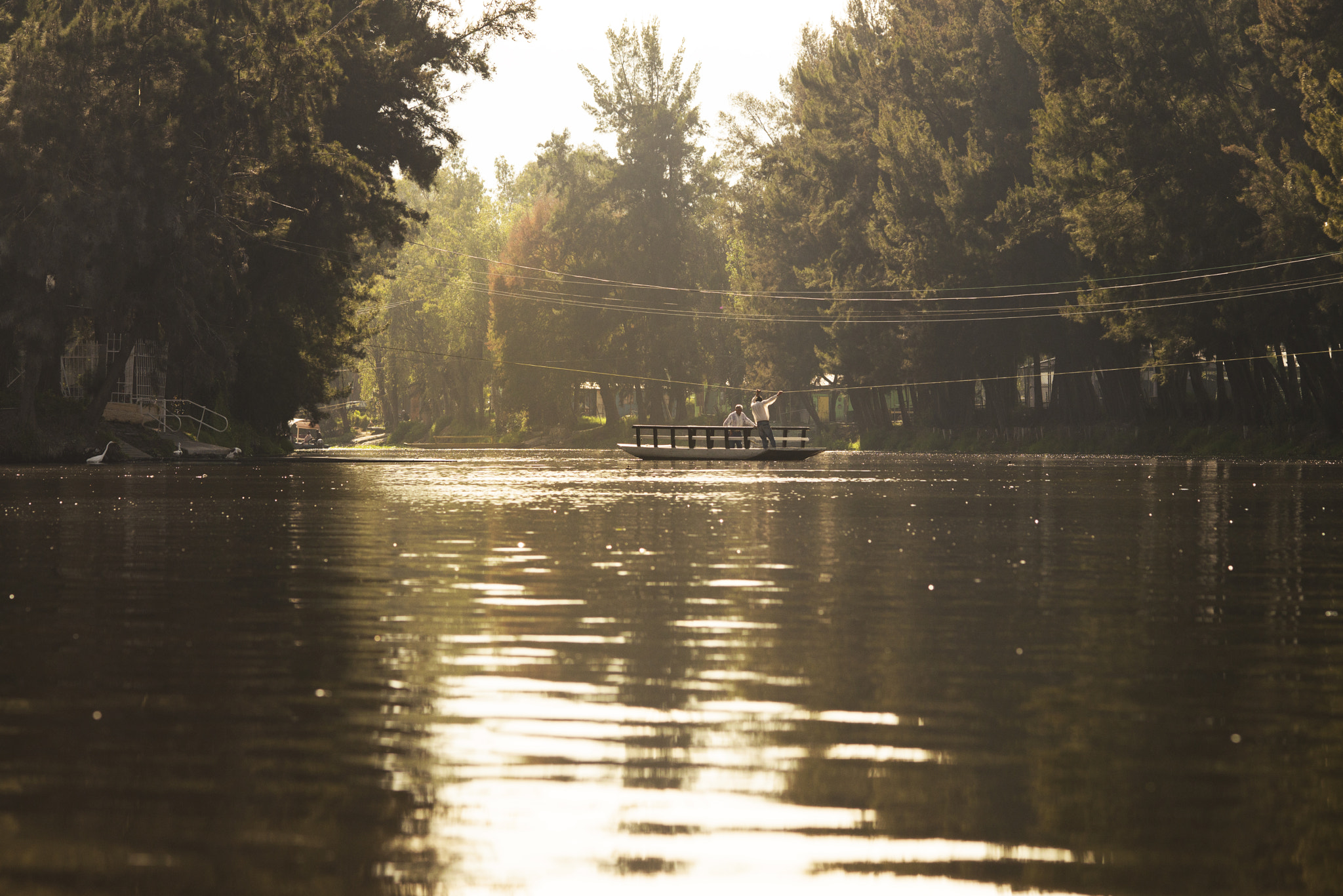 Nikon D600 + AF DC-Nikkor 135mm f/2 sample photo. Xochimilco photography