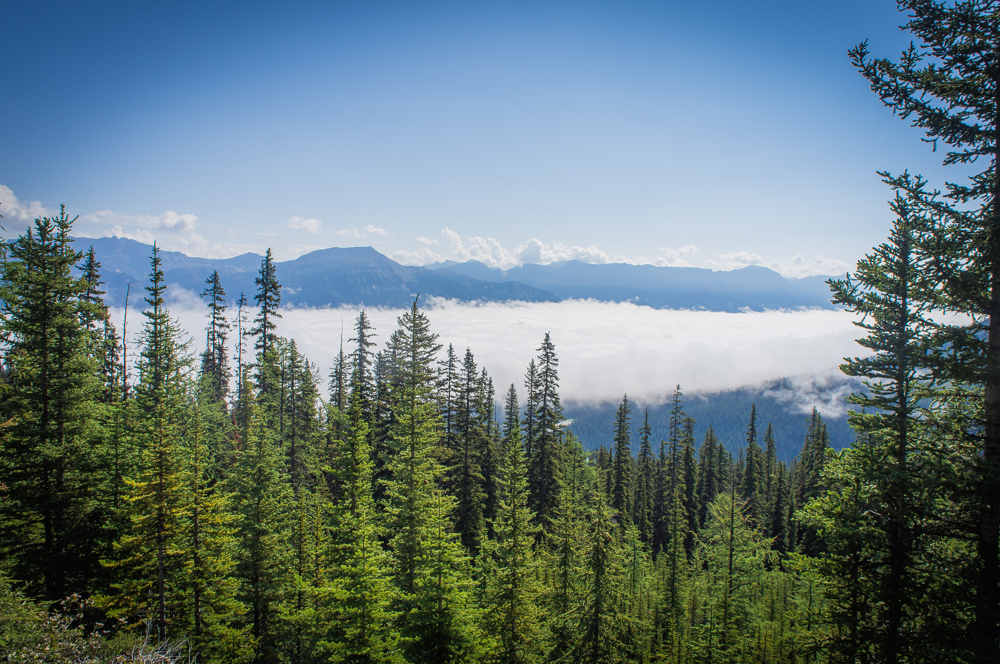 Sony Alpha NEX-C3 sample photo. Banff national park photography