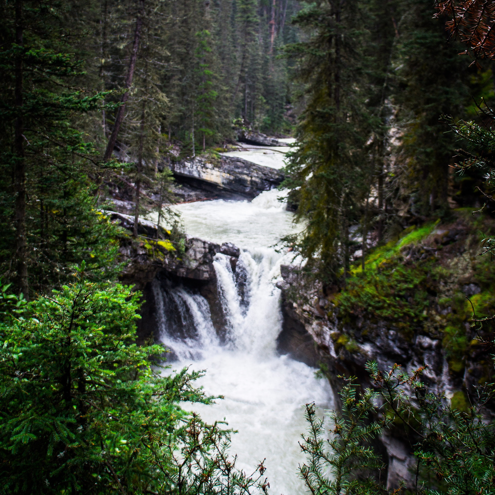 Sony Alpha NEX-C3 + Sony E 18-55mm F3.5-5.6 OSS sample photo. Banff national park photography