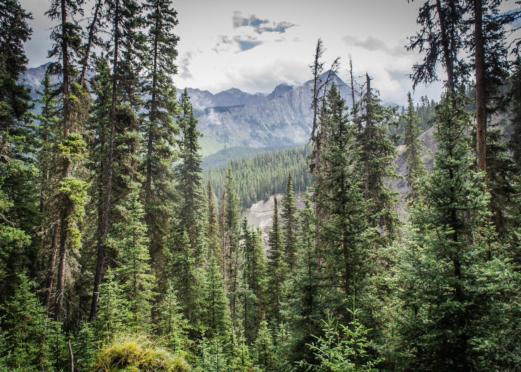 Sony Alpha NEX-C3 sample photo. Banff national park photography