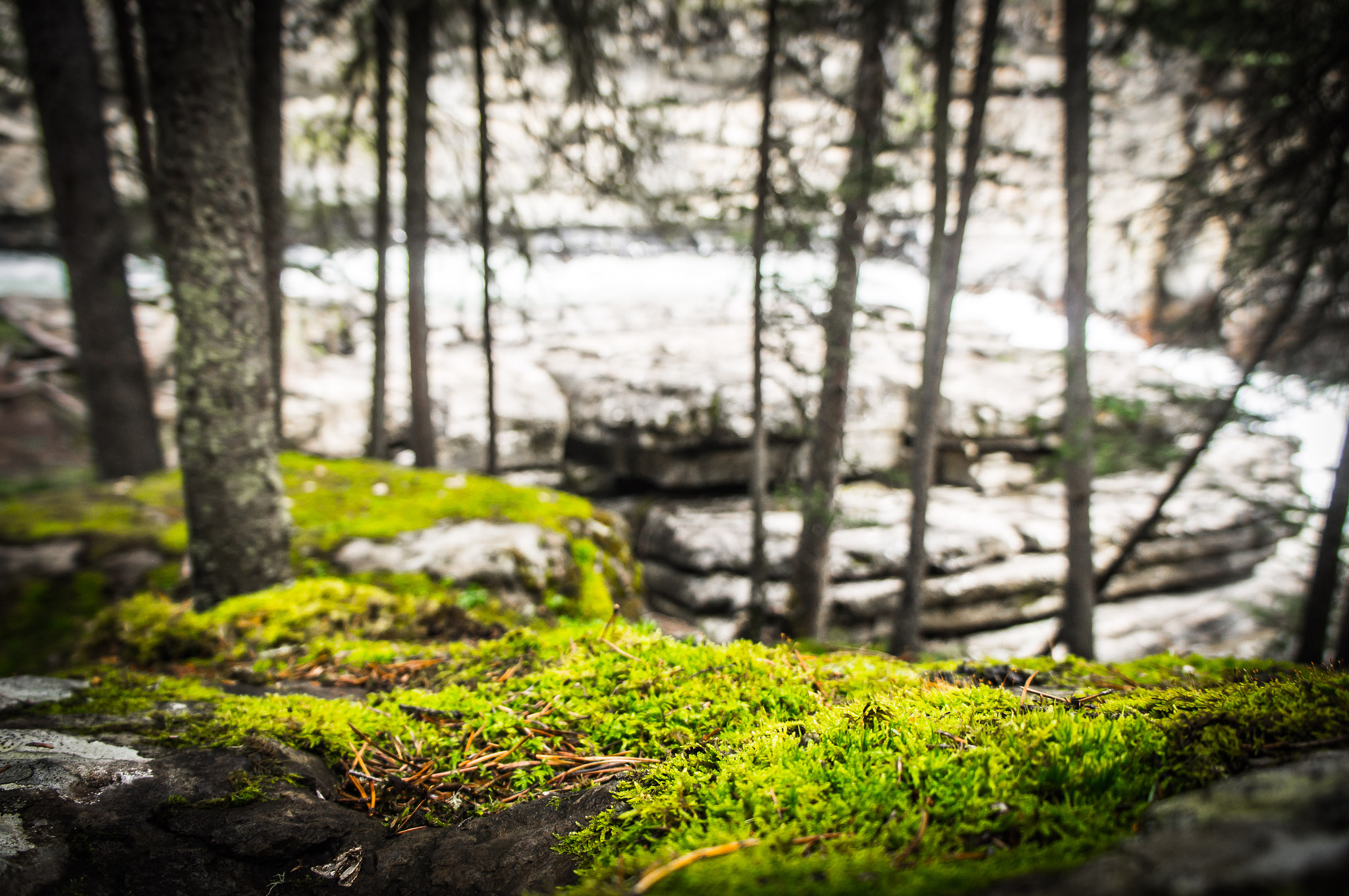 Sony Alpha NEX-C3 sample photo. Banff national park photography