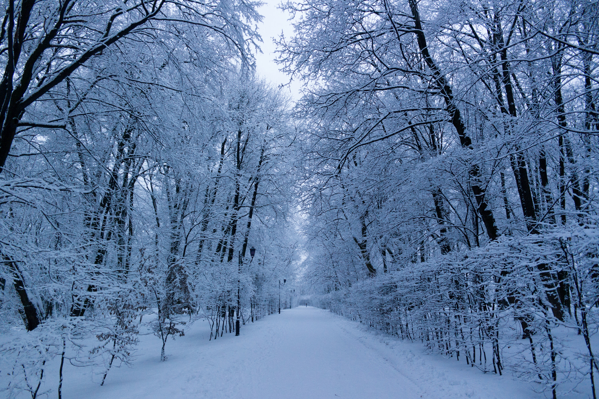 Samsung NX 16mm F2.4 Pancake sample photo. Winter photography