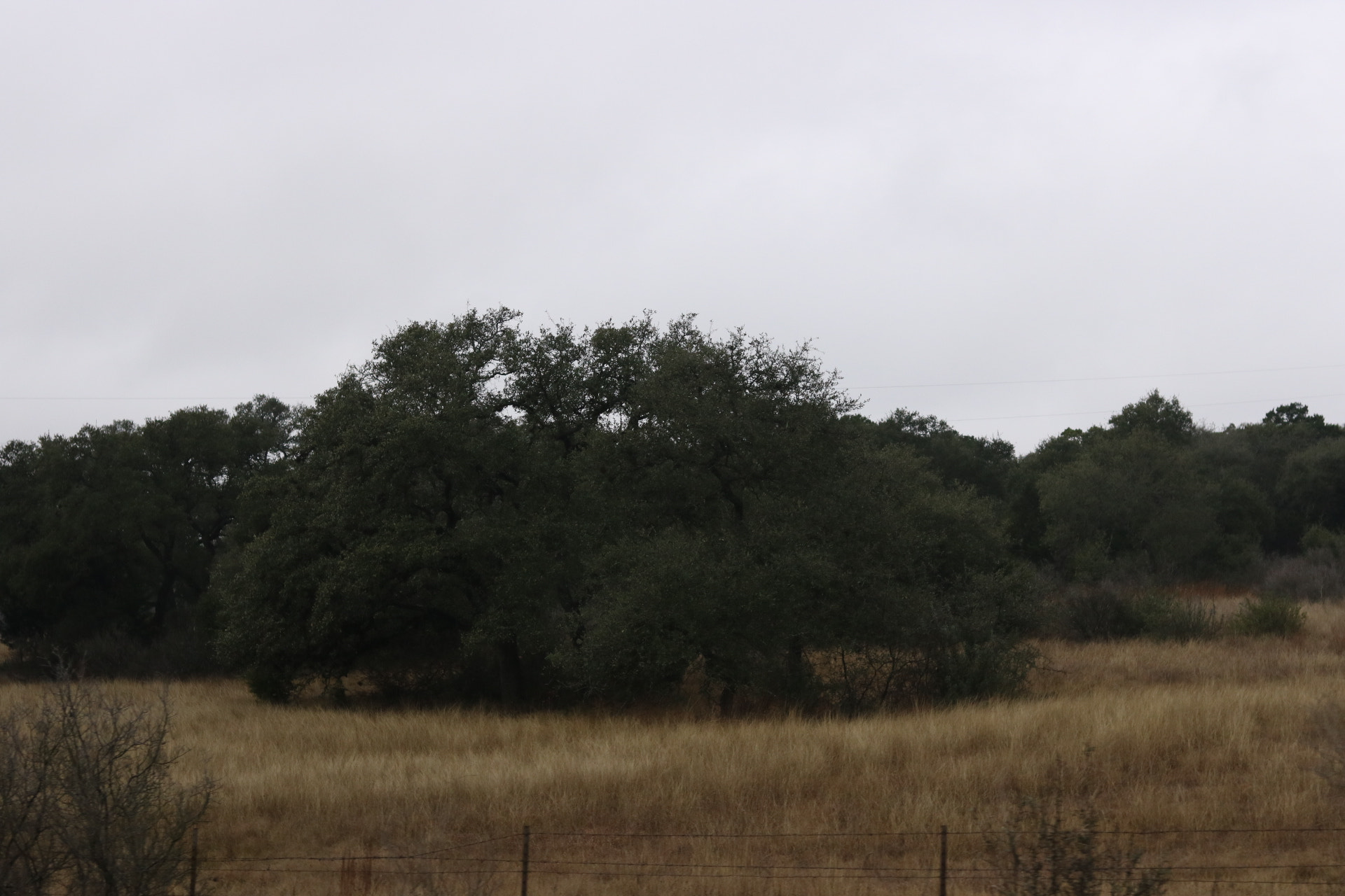 Canon EOS 760D (EOS Rebel T6s / EOS 8000D) sample photo