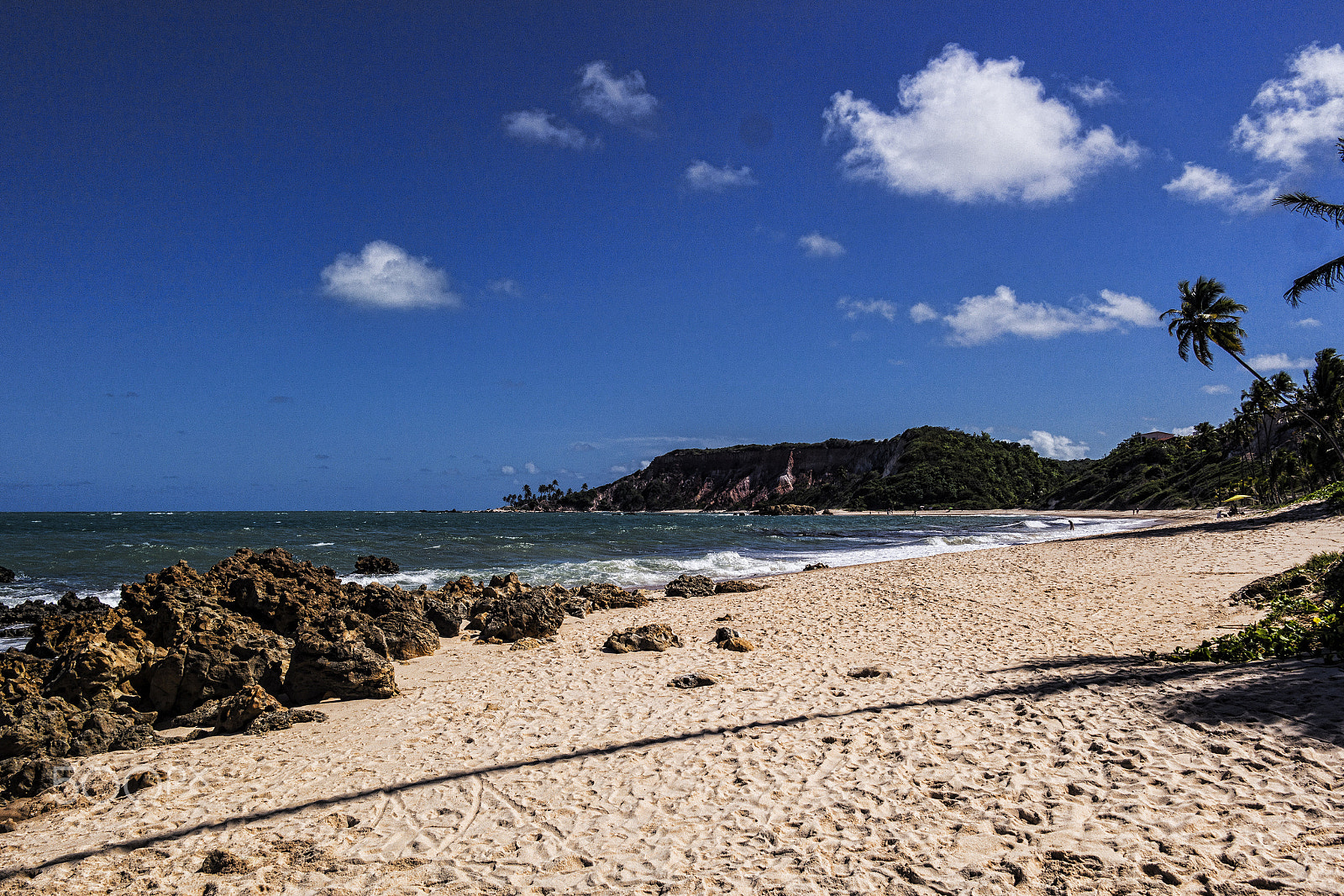 Samsung NX200 + Samsung NX 20-50mm F3.5-5.6 ED sample photo. Conde, brazil, 2017 photography