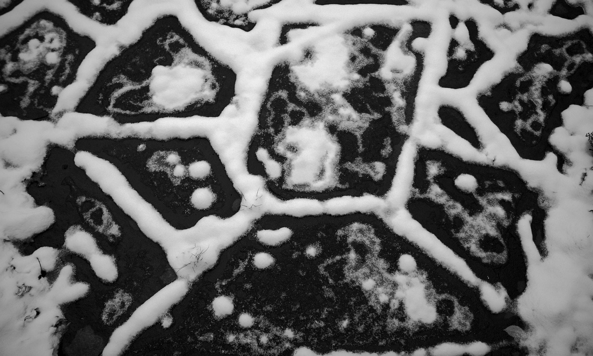 Canon EOS 550D (EOS Rebel T2i / EOS Kiss X4) sample photo. Snow geometry i photography