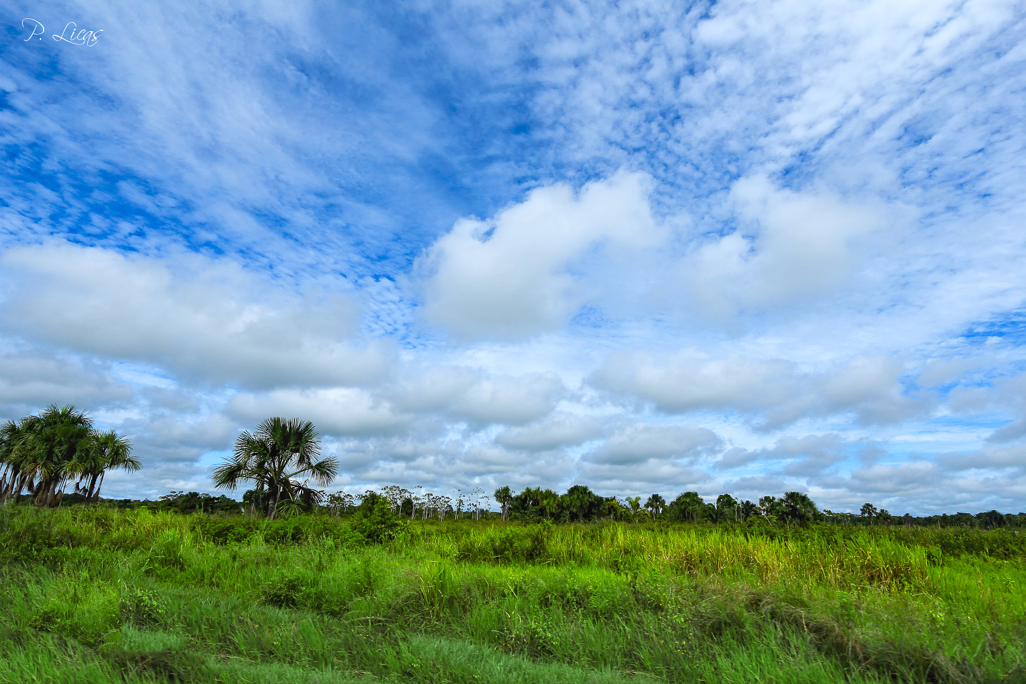 Canon EF-S 10-22mm F3.5-4.5 USM sample photo. Amazonia peruana photography