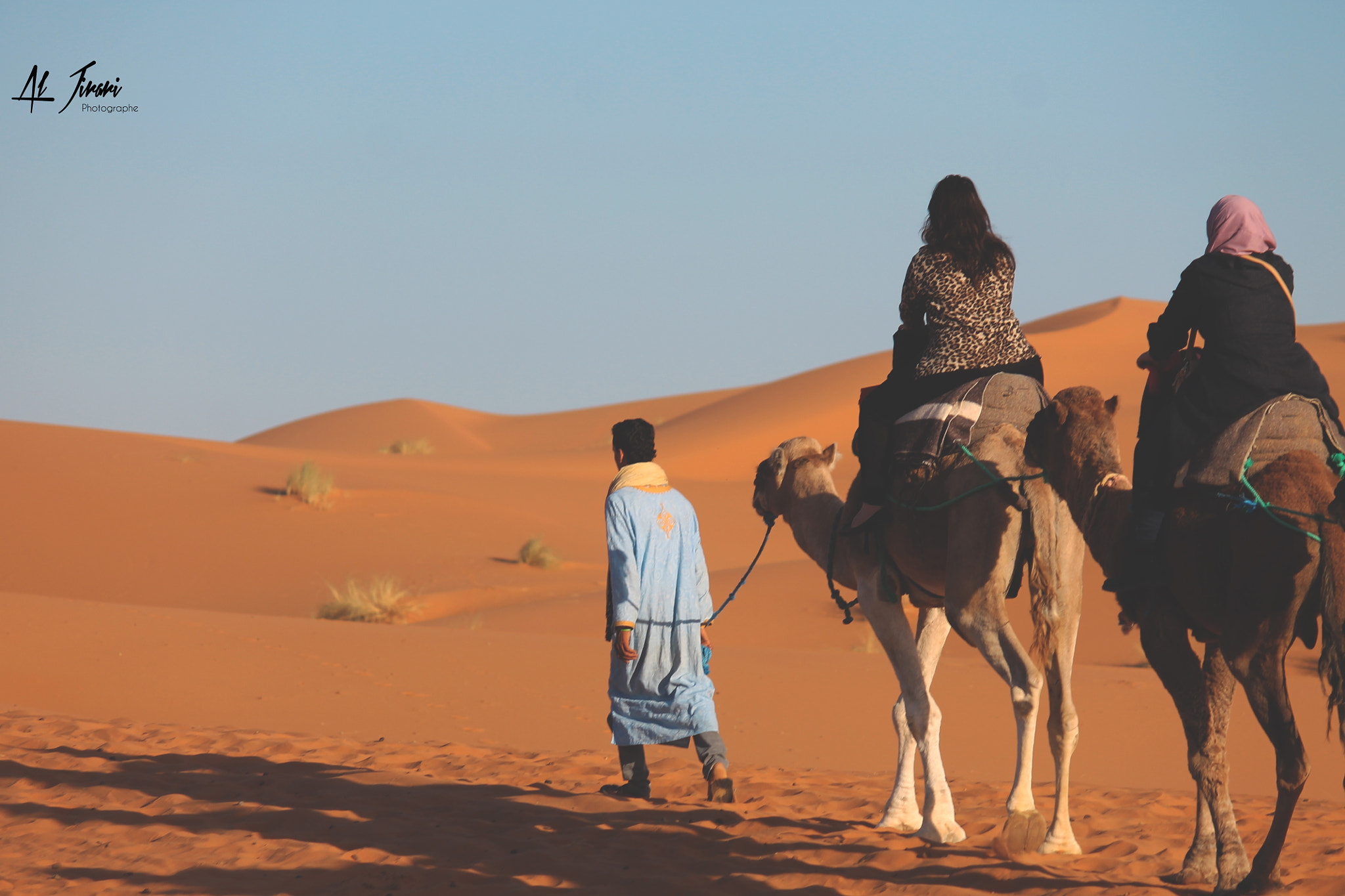 Canon EF-S 55-250mm F4-5.6 IS sample photo. Camel caravan photography