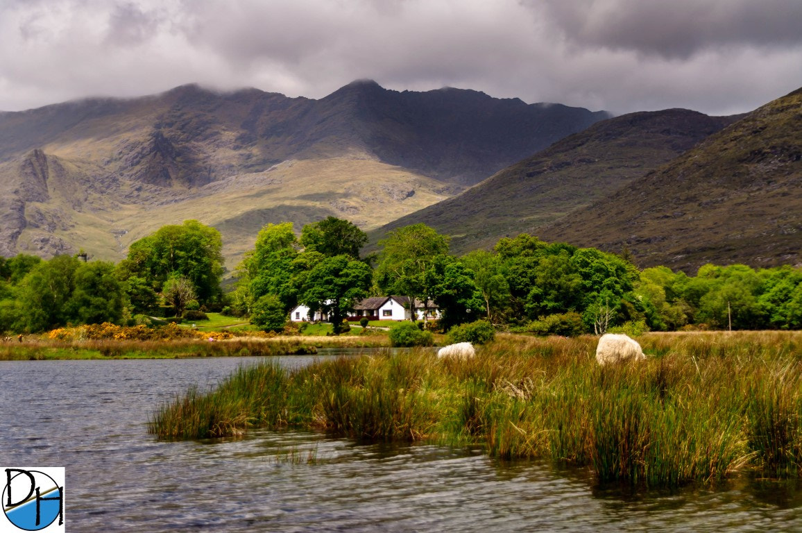 Sigma 18-250mm F3.5-6.3 DC Macro OS HSM sample photo. Ireland photography