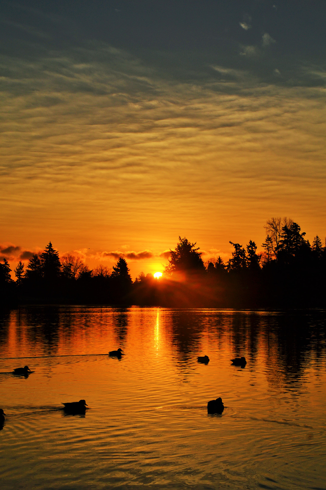 Nikon D3100 sample photo. Golden hued winter morning on the gorge photography