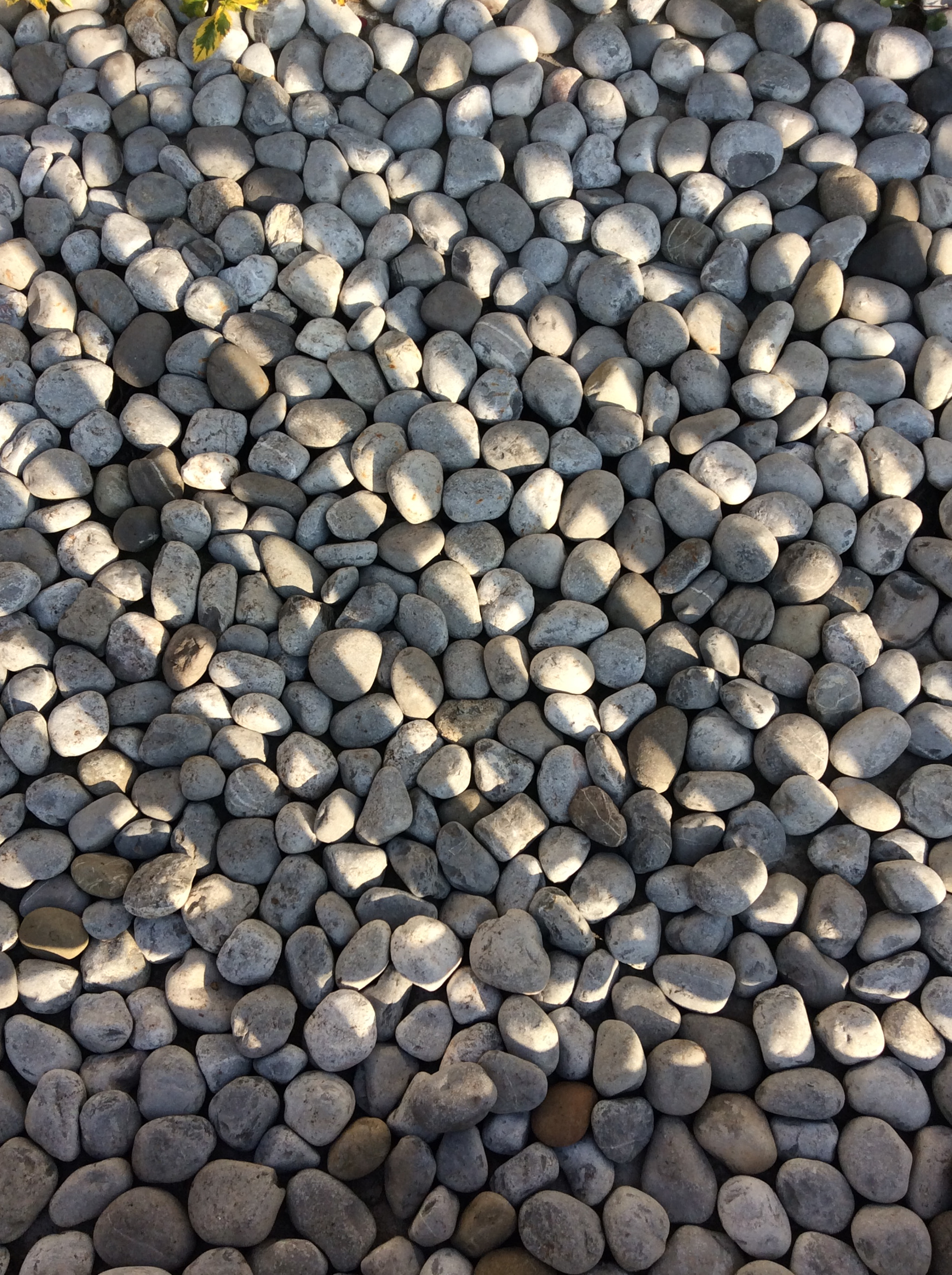Apple iPad mini 3 sample photo