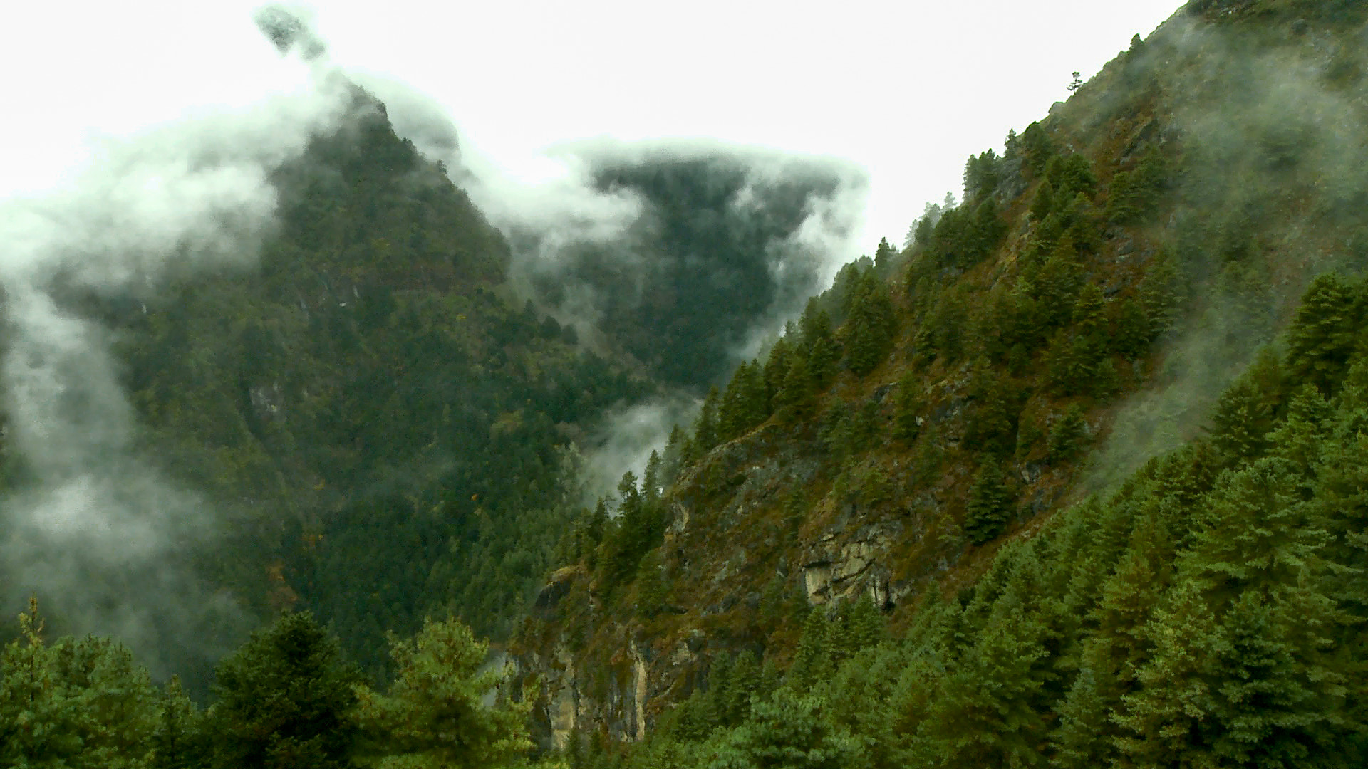 Forested mountains shrouded in mist and clouds.