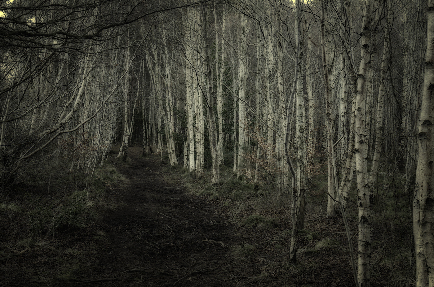 Sigma 18-50mm F2.8-4.5 DC OS HSM sample photo. Spynie photography