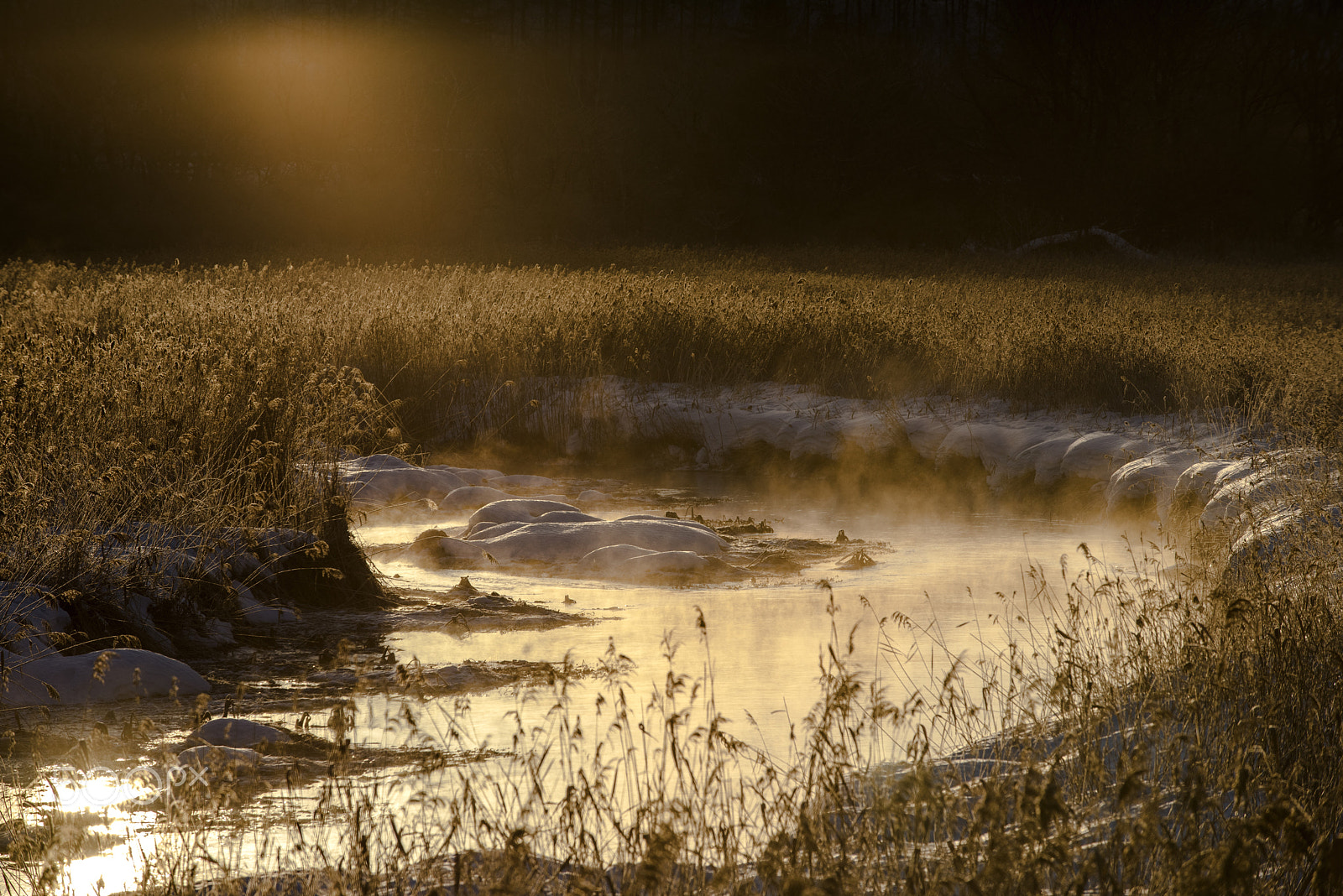 AF-S Zoom-Nikkor 80-200mm f/2.8D IF-ED sample photo. Golden river photography