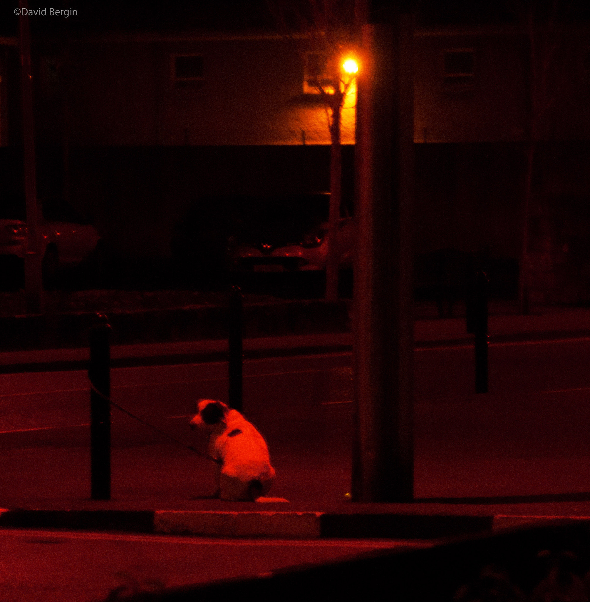 Nikon D3000 sample photo. Waiting photography